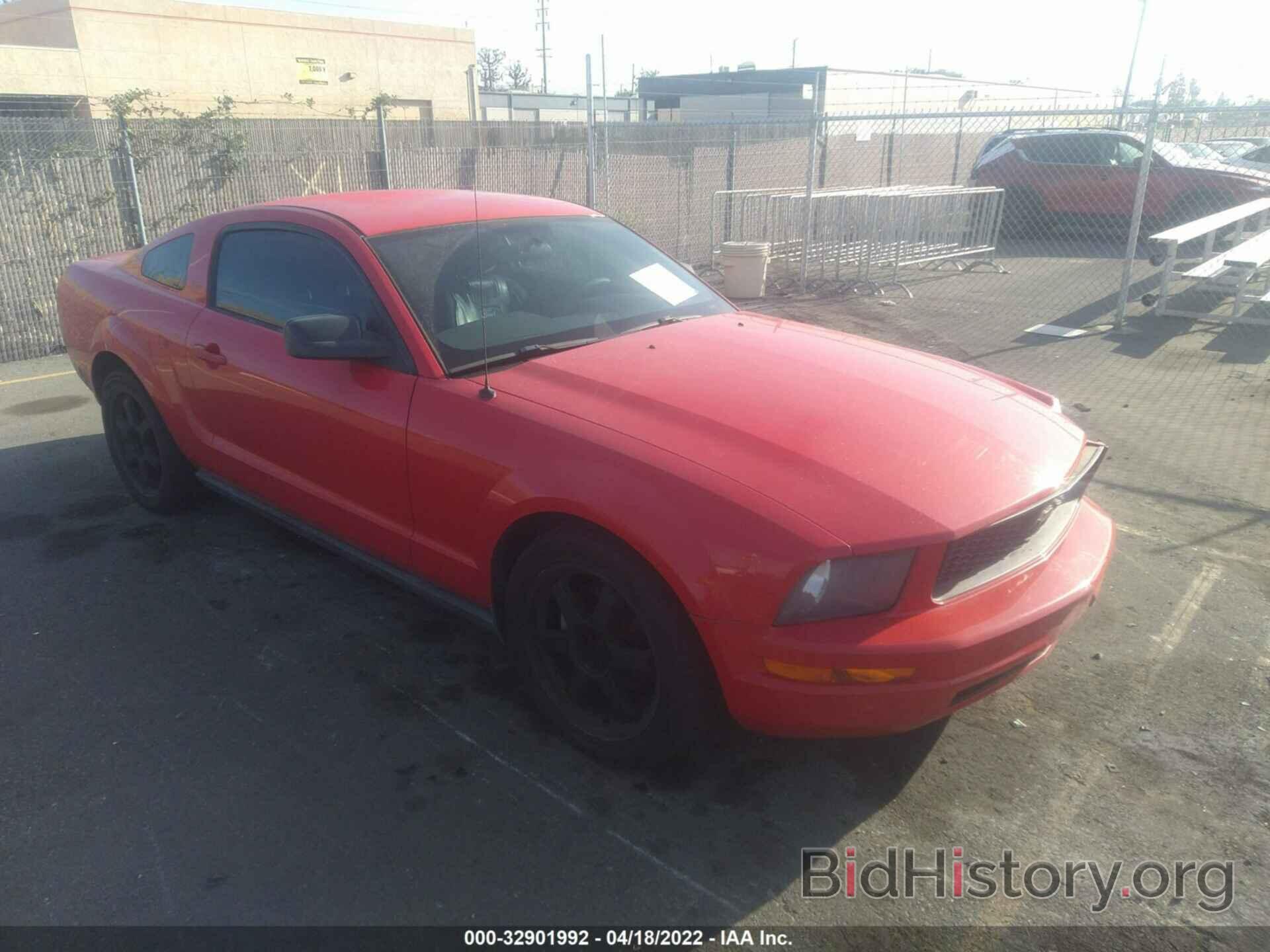 Photo 1ZVFT80N665219100 - FORD MUSTANG 2006