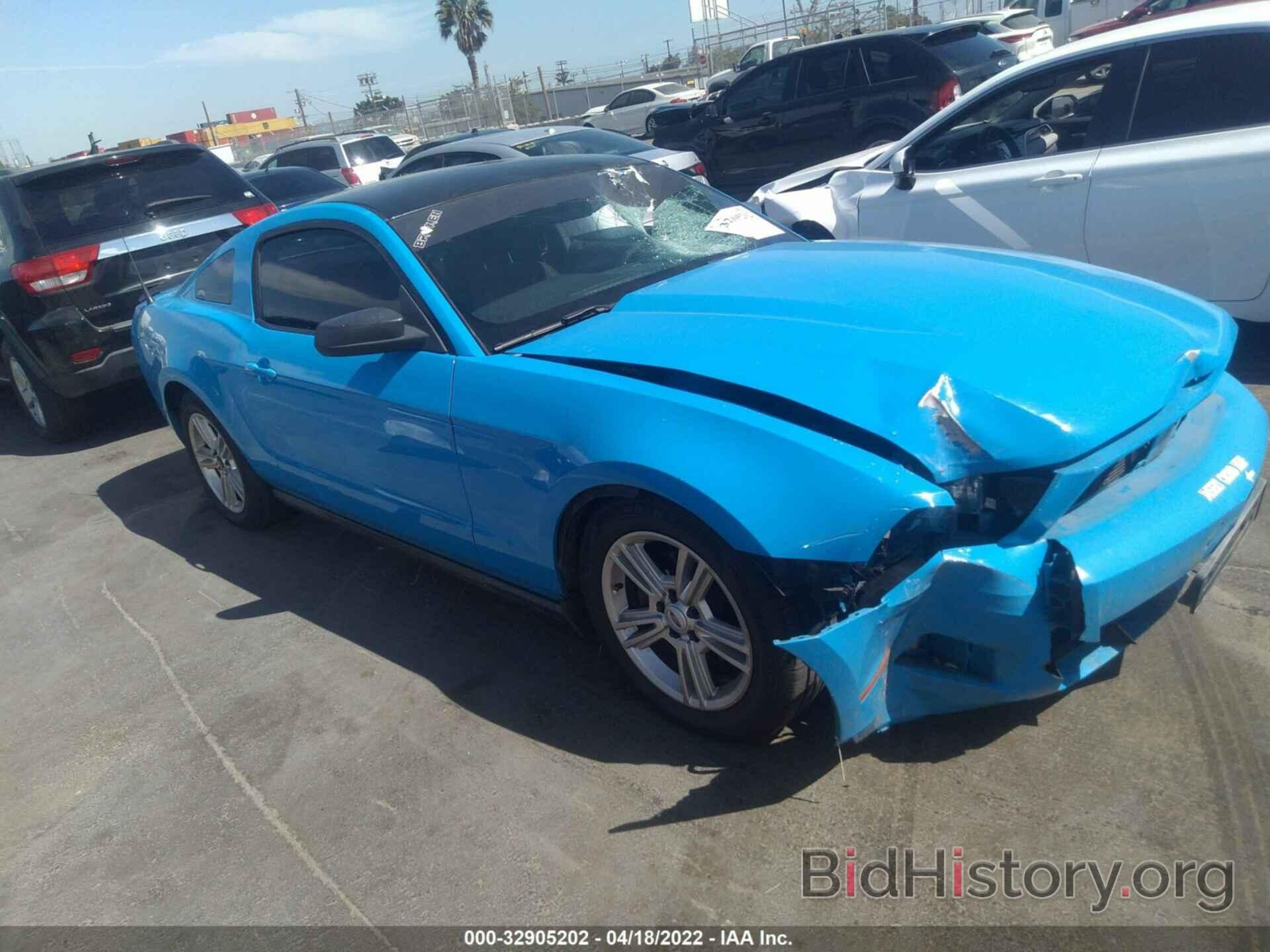 Photo 1ZVBP8AN9A5123679 - FORD MUSTANG 2010