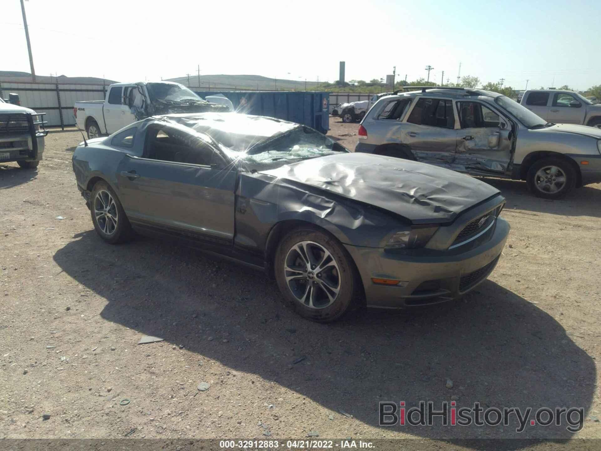 Photo 1ZVBP8AM8E5295344 - FORD MUSTANG 2014