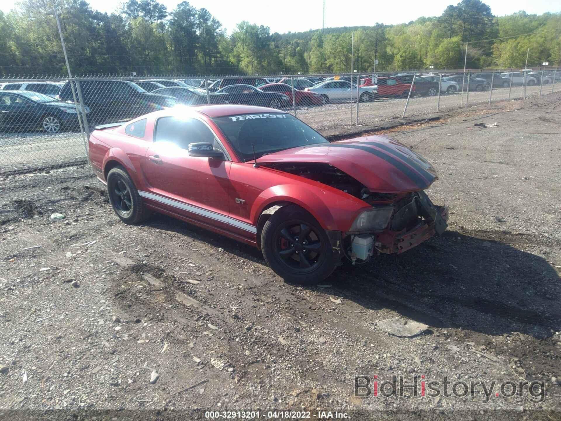 Photo 1ZVHT82H285125251 - FORD MUSTANG 2008