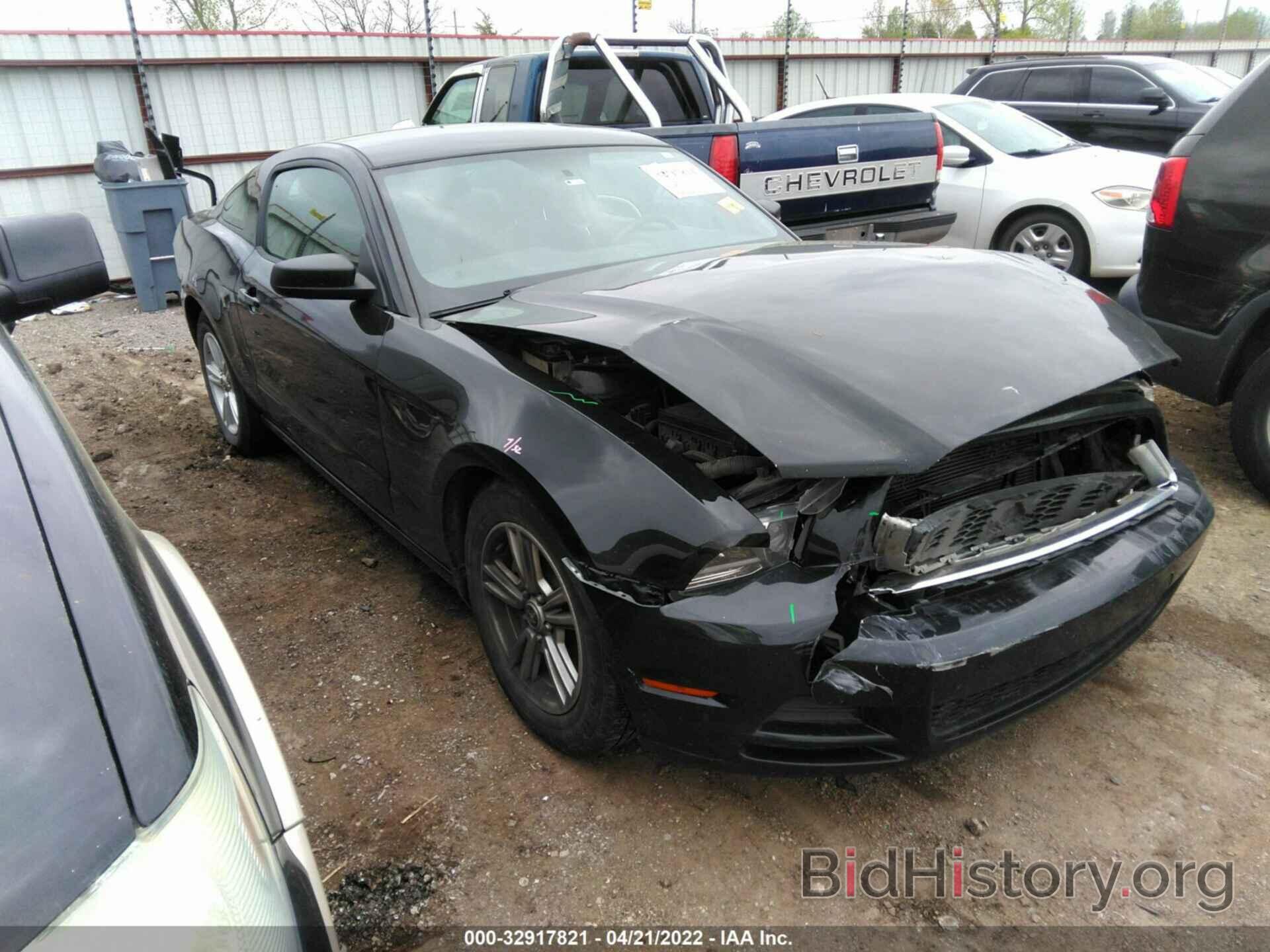 Photo 1ZVBP8AM1D5270011 - FORD MUSTANG 2013