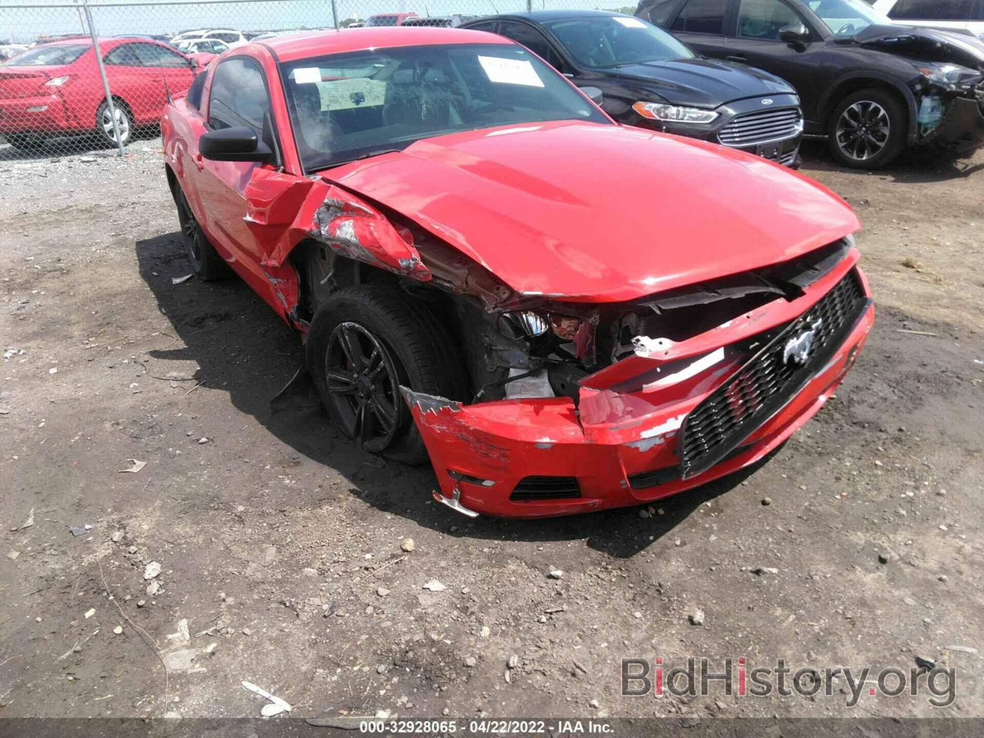 Photo 1ZVBP8AN6A5107181 - FORD MUSTANG 2010