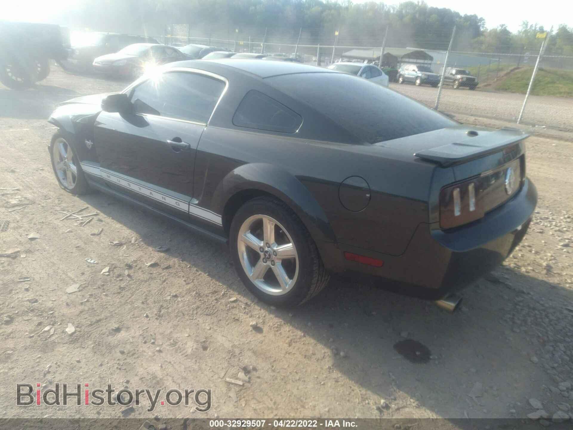 2009 FORD MUSTANG - VIN: 1ZVHT80N095113299 - Фото 3