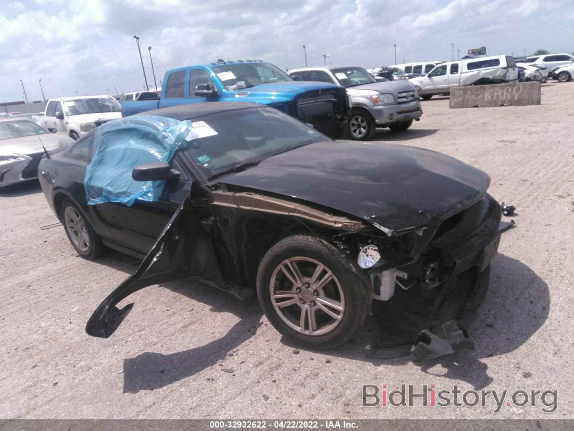 Photo 1ZVBP8AN9A5180240 - FORD MUSTANG 2010