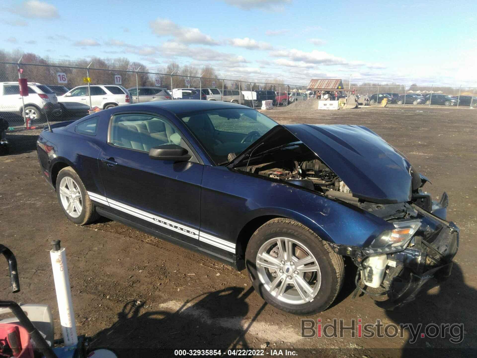 Photo 1ZVBP8AN3A5130921 - FORD MUSTANG 2010