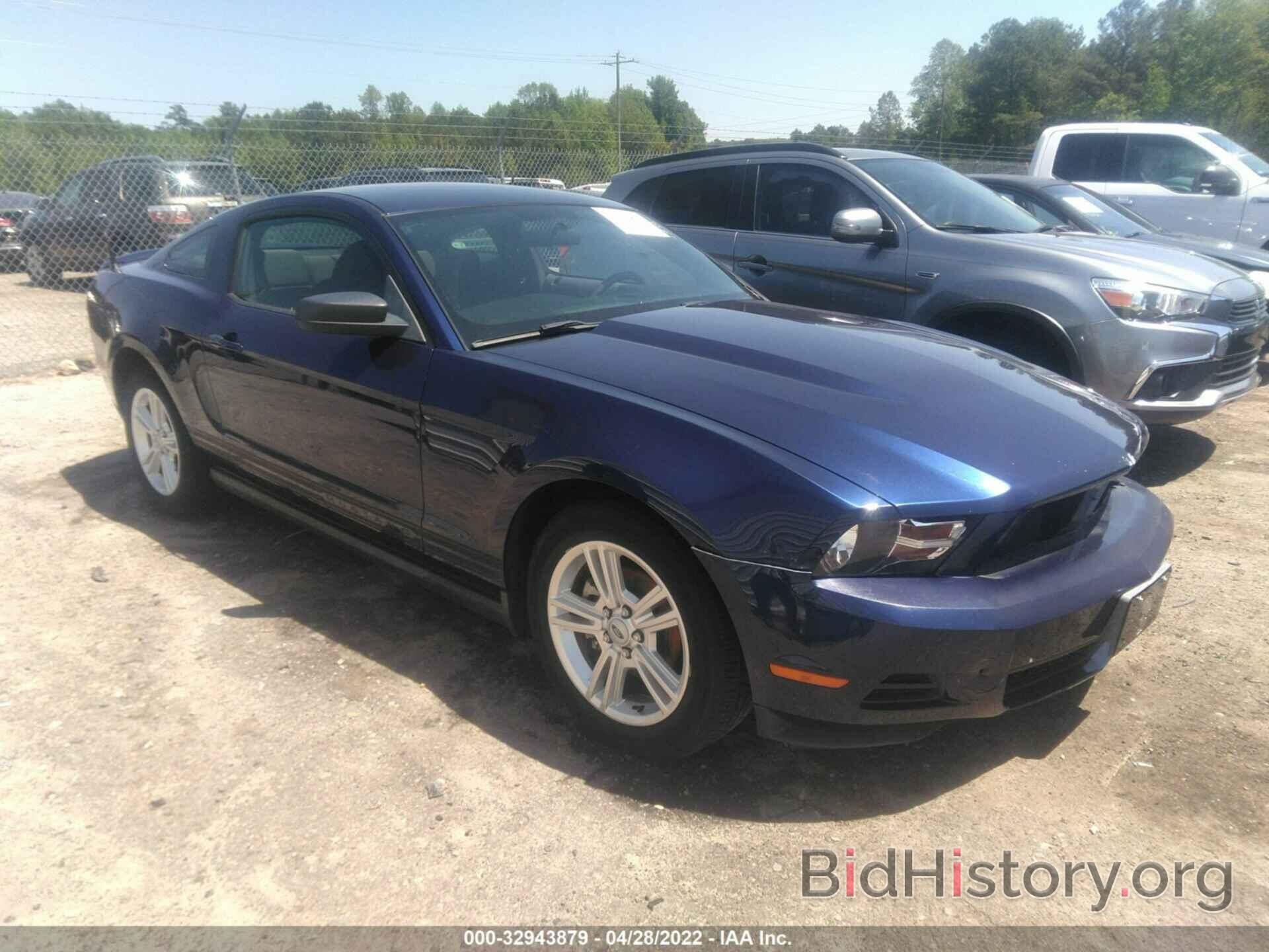 Photo 1ZVBP8AN0A5152617 - FORD MUSTANG 2010