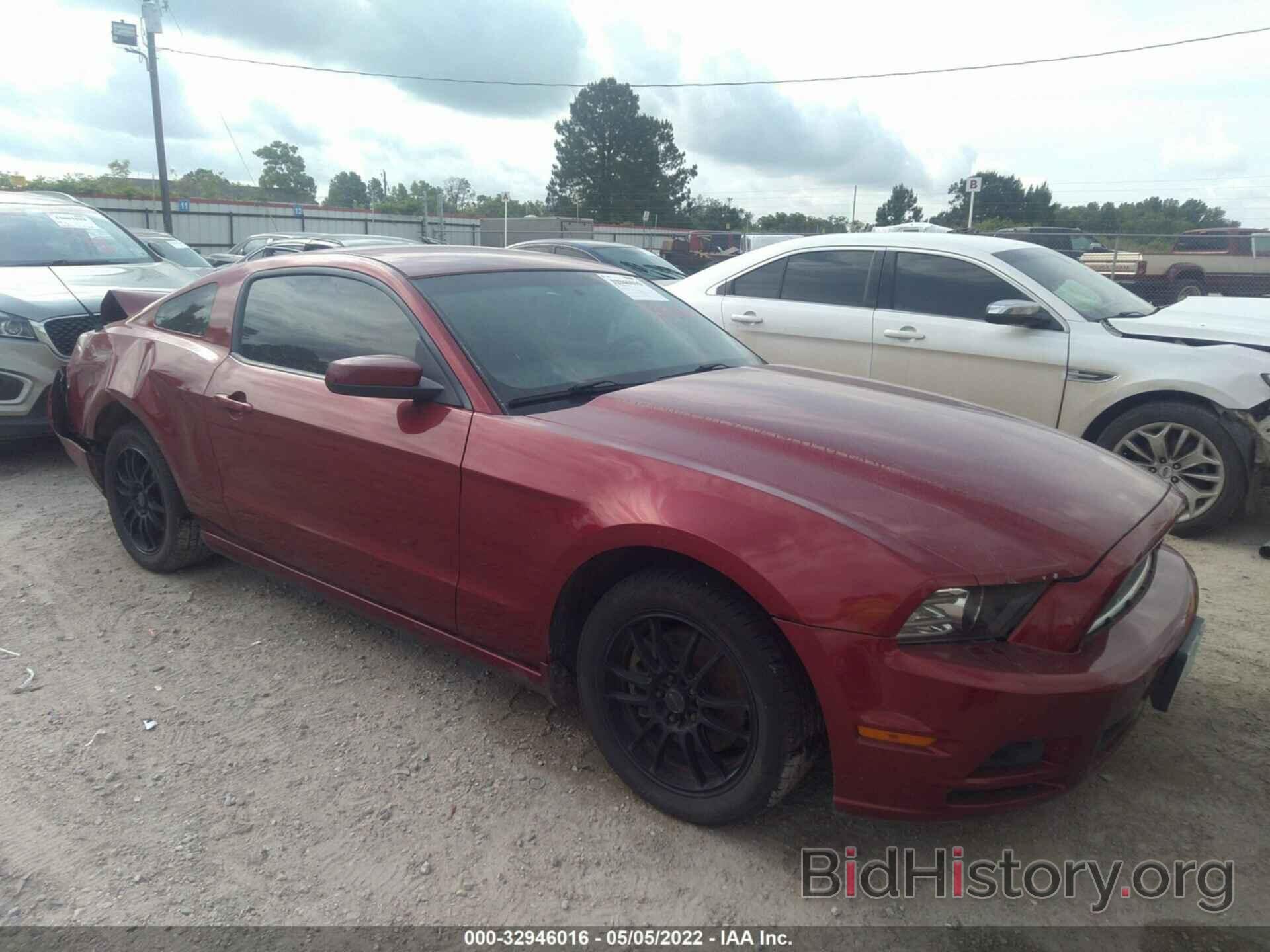 Photo 1ZVBP8AM5E5274483 - FORD MUSTANG 2014