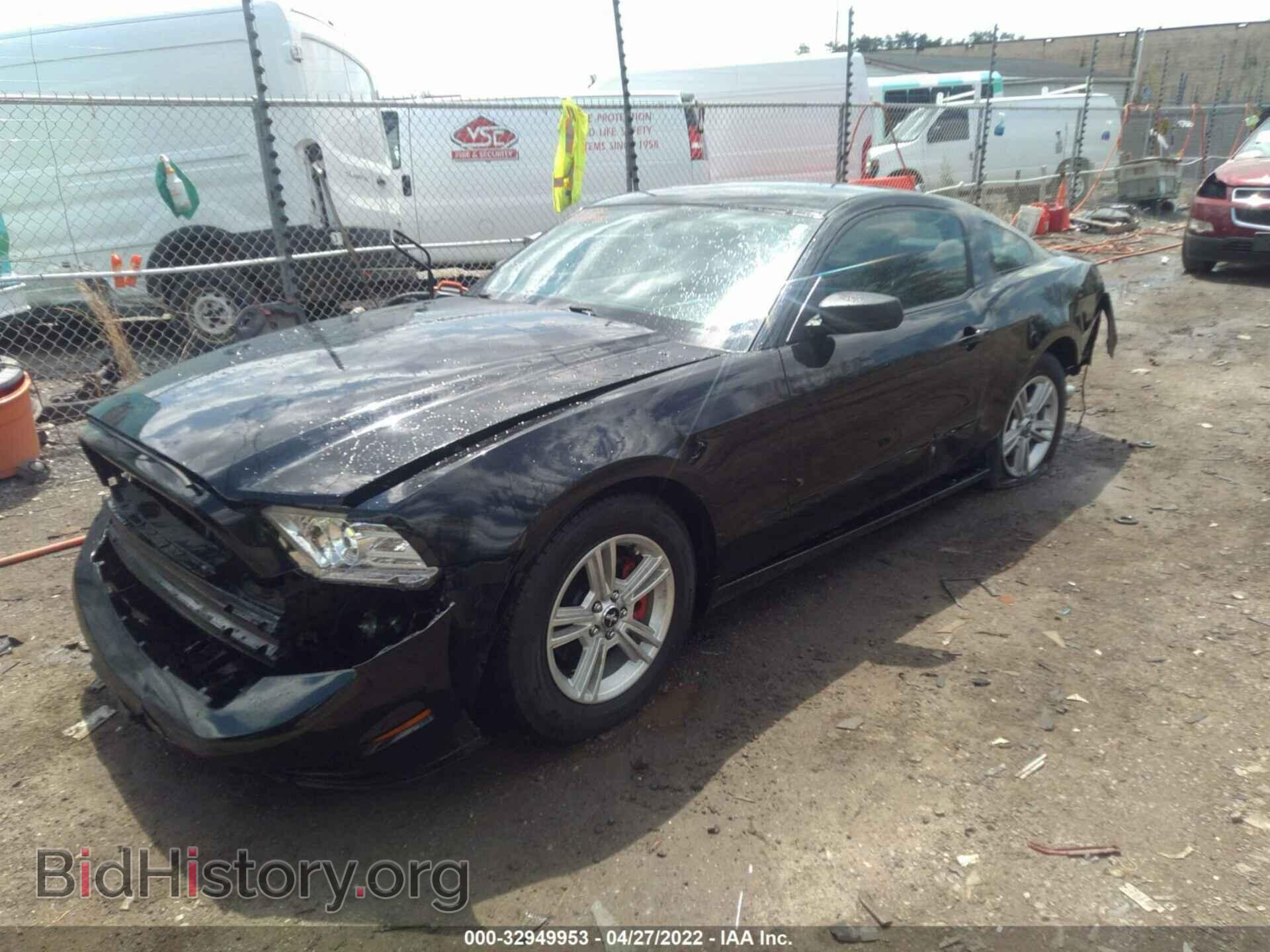2013 FORD MUSTANG - VIN: 1ZVBP8AM3D5258667 - Фото 2