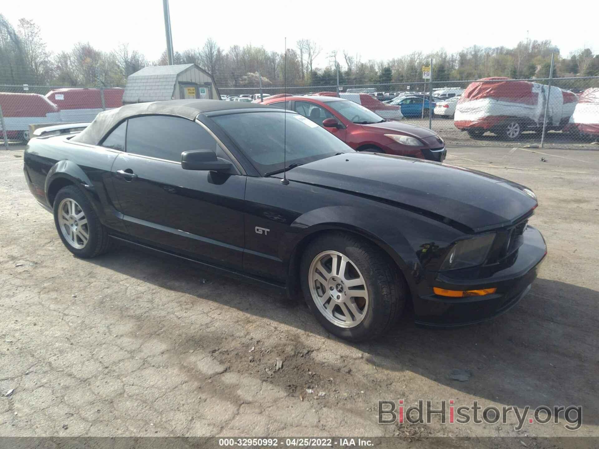 Photo 1ZVHT85H265204993 - FORD MUSTANG 2006