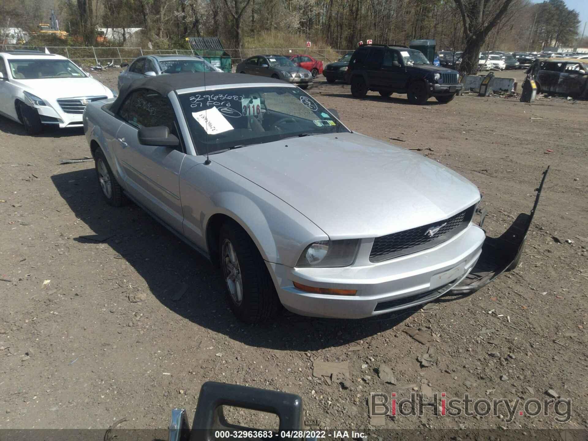Photo 1ZVFT84N275313700 - FORD MUSTANG 2007
