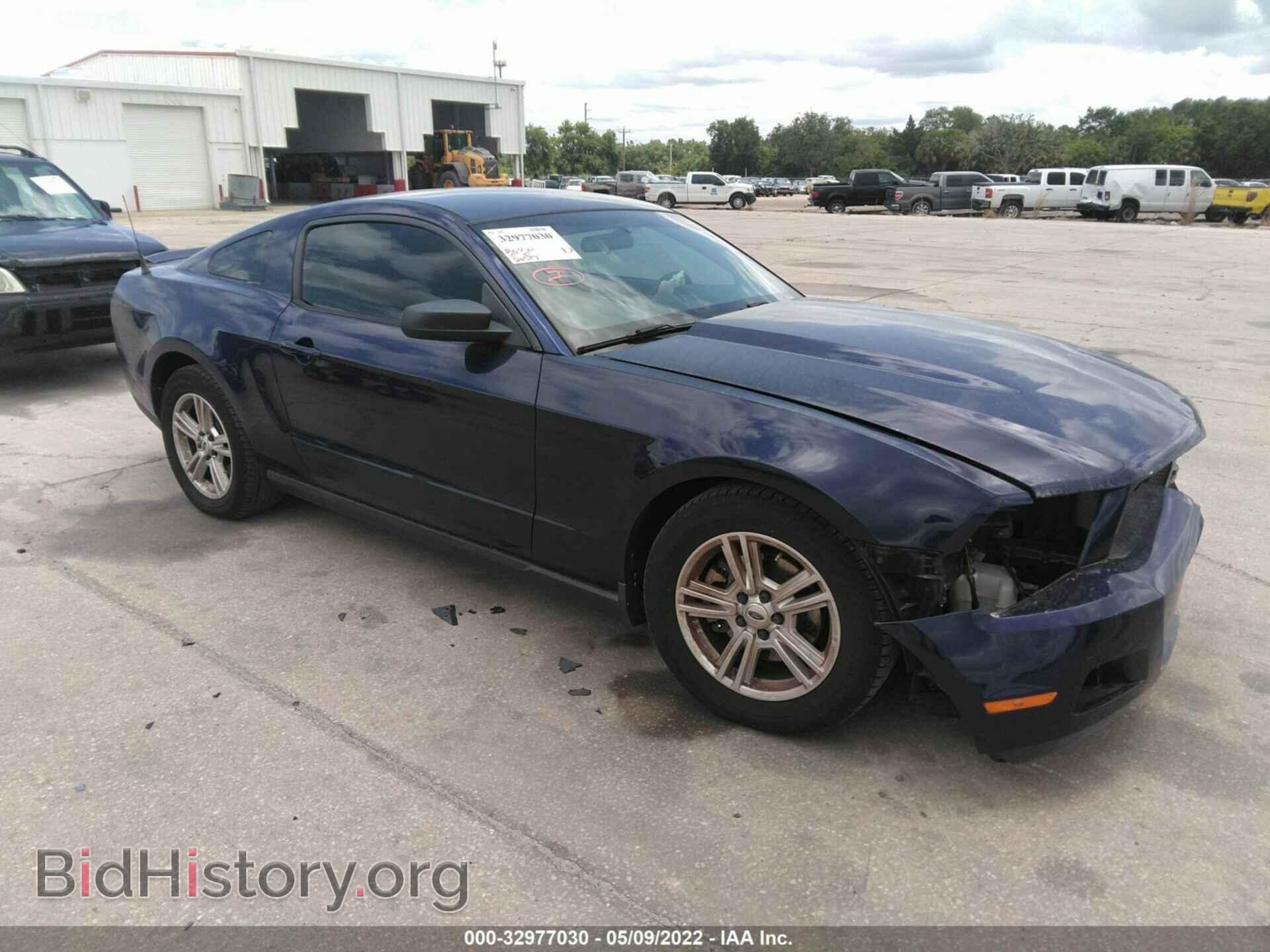Photo 1ZVBP8AM2C5263034 - FORD MUSTANG 2012