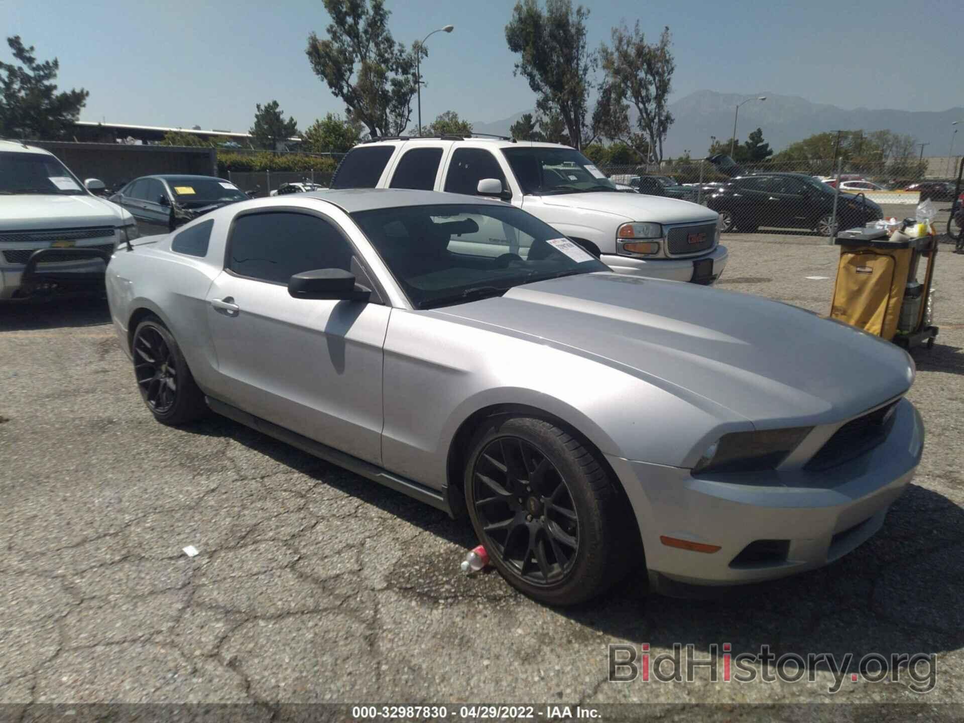 Photo 1ZVBP8AN8A5180908 - FORD MUSTANG 2010