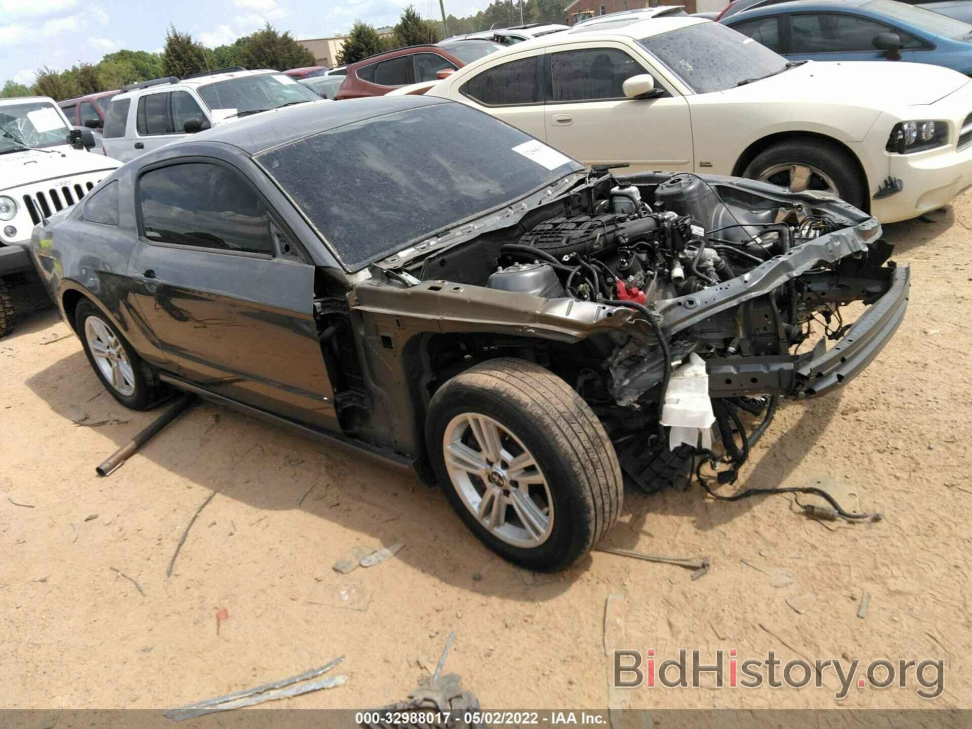 Photo 1ZVBP8AM8D5277408 - FORD MUSTANG 2013