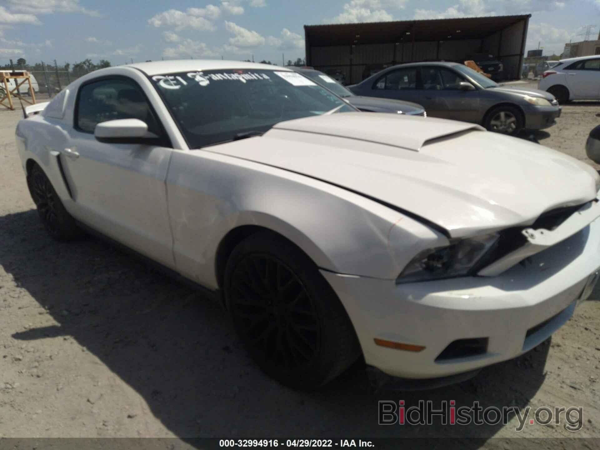 Photo 1ZVBP8AM9C5250300 - FORD MUSTANG 2012