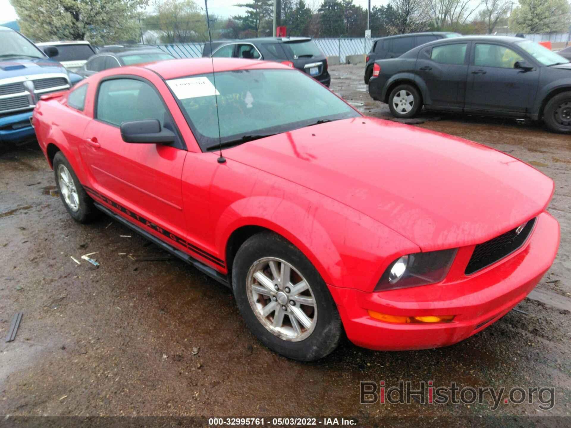 Photo 1ZVHT80N585185856 - FORD MUSTANG 2008