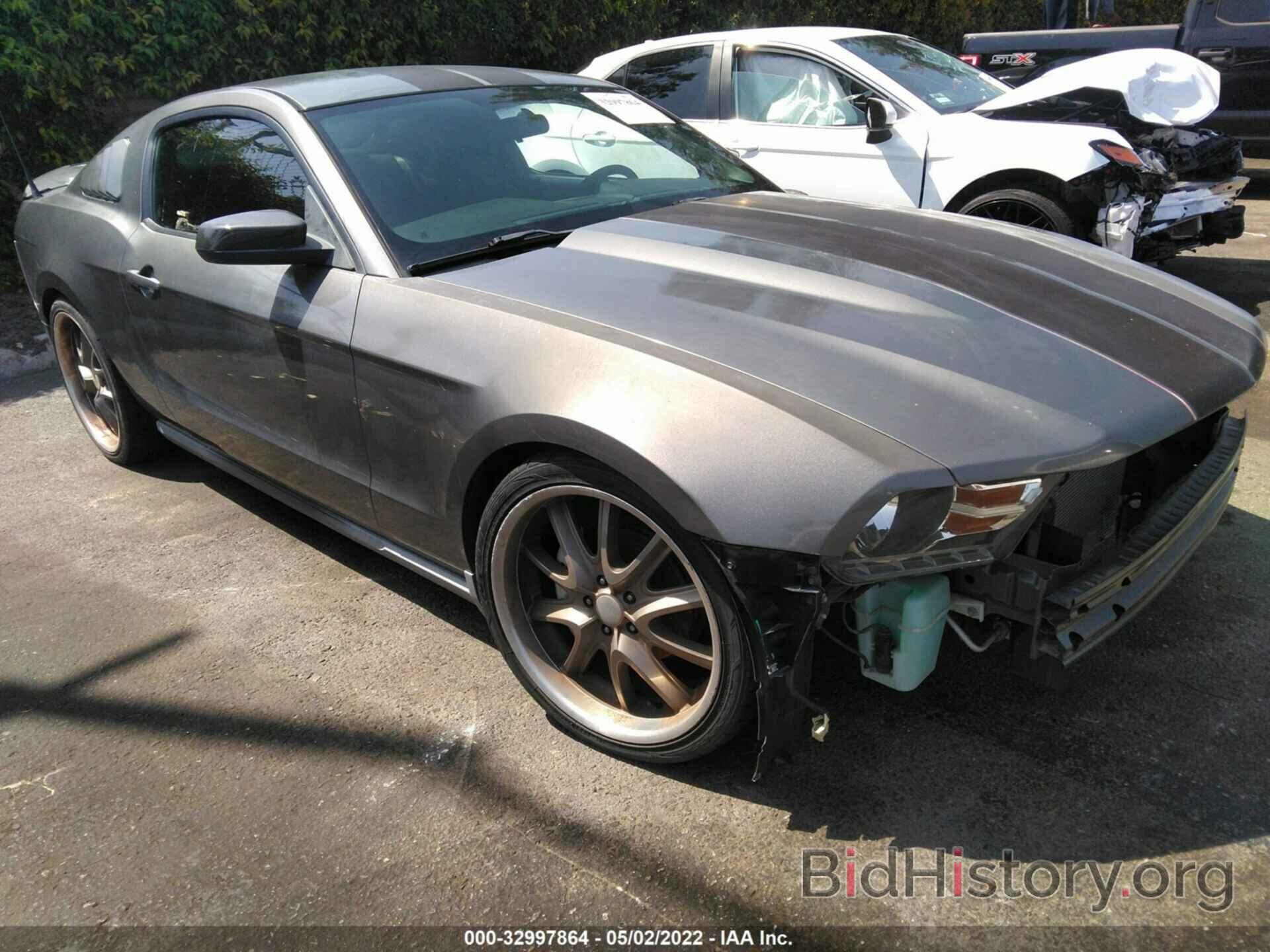 Photo 1ZVBP8AN5A5112534 - FORD MUSTANG 2010