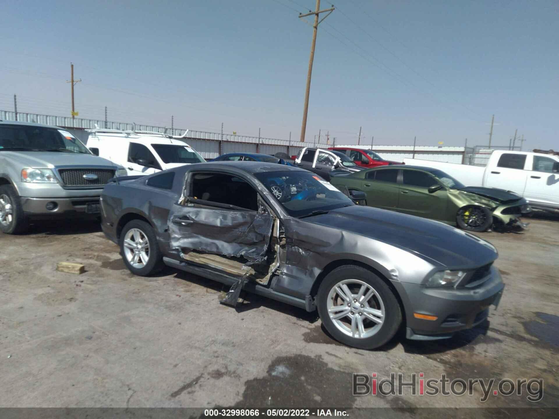 Photo 1ZVBP8AN9A5176544 - FORD MUSTANG 2010