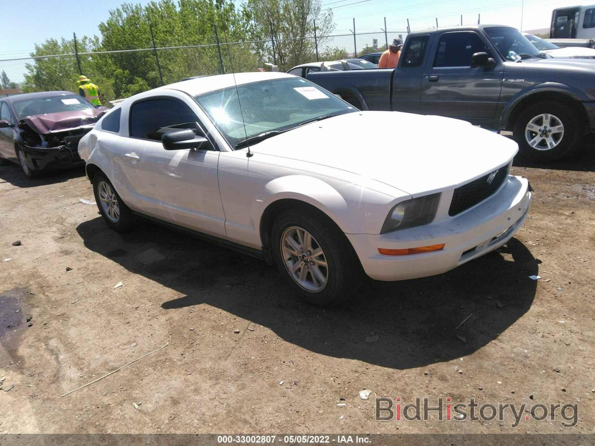 Photo 1ZVHT80NX85122221 - FORD MUSTANG 2008