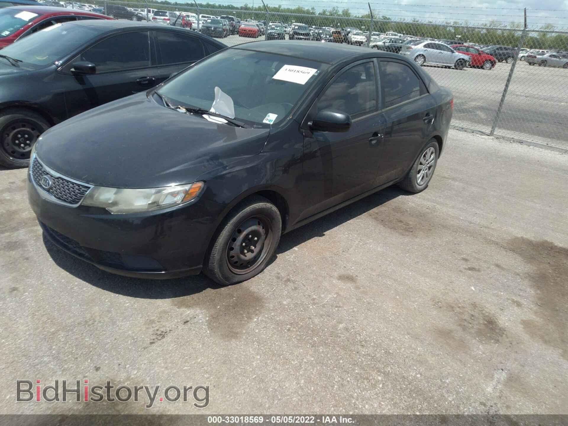 2013 KIA FORTE - VIN: KNAFT4A25D5716004 - Фото 2