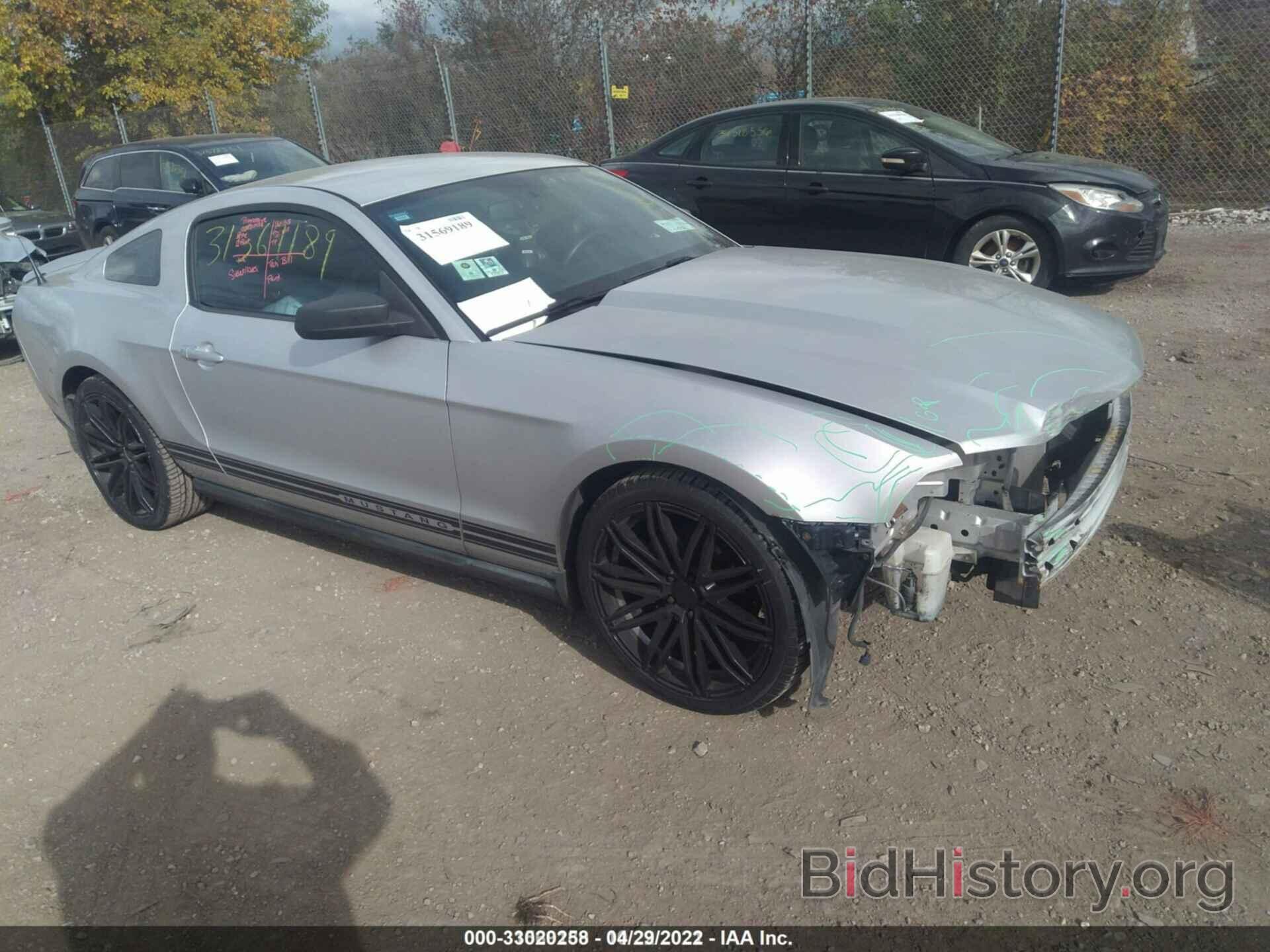 Photo 1ZVBP8AN3A5108899 - FORD MUSTANG 2010