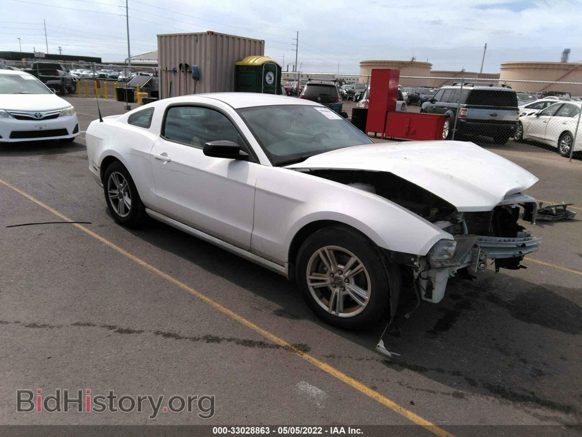 Фотография 1ZVBP8AM2D5252939 - FORD MUSTANG 2013