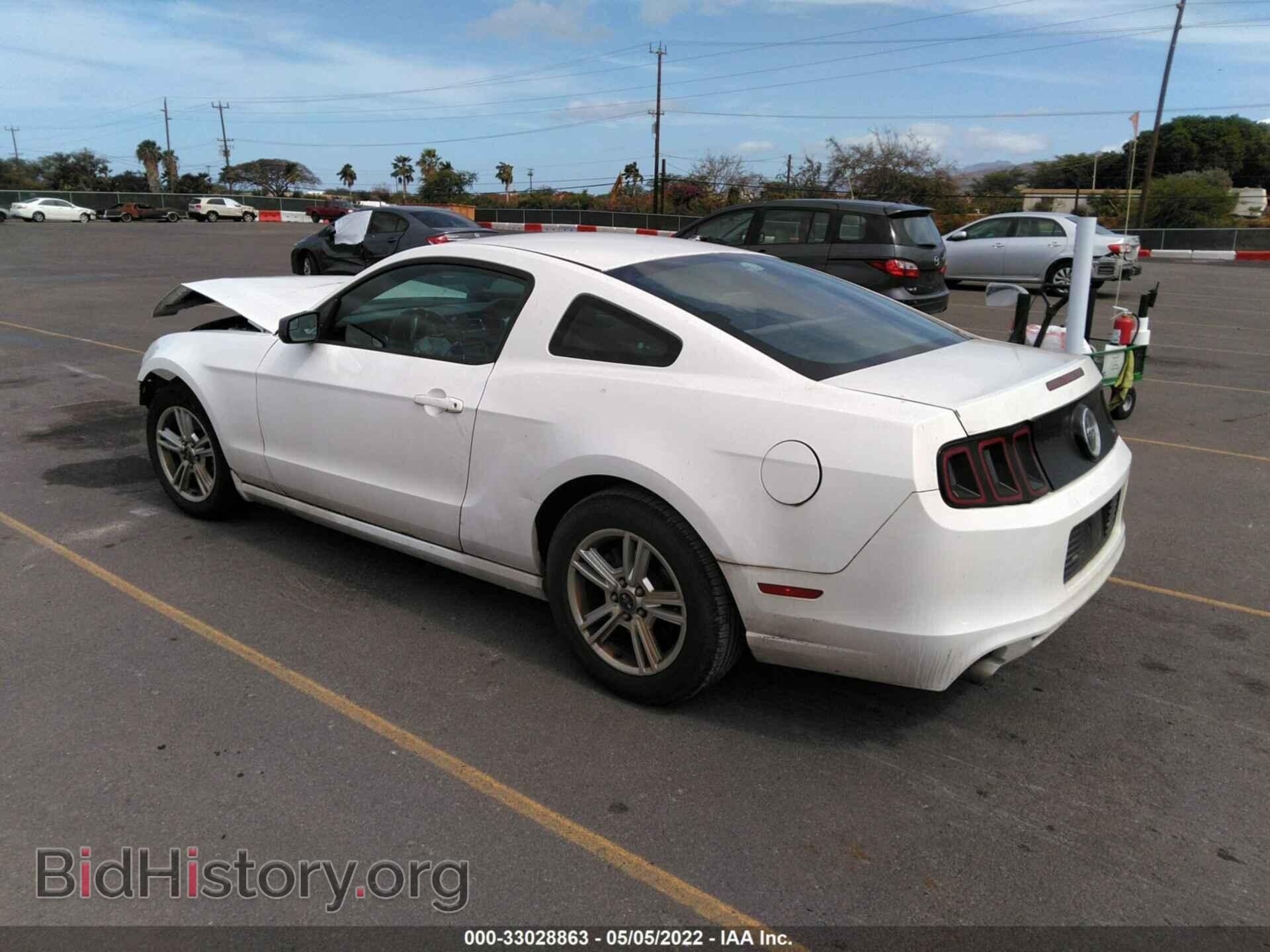 2013 FORD MUSTANG - VIN: 1ZVBP8AM2D5252939 - Фото 3
