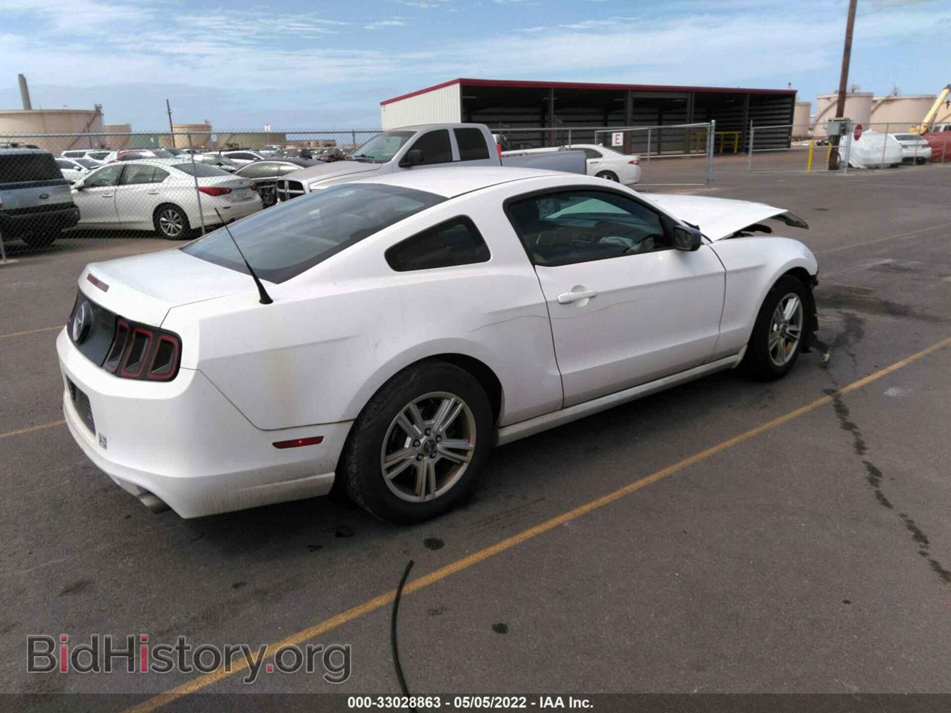 2013 FORD MUSTANG - VIN: 1ZVBP8AM2D5252939 - Фото 4