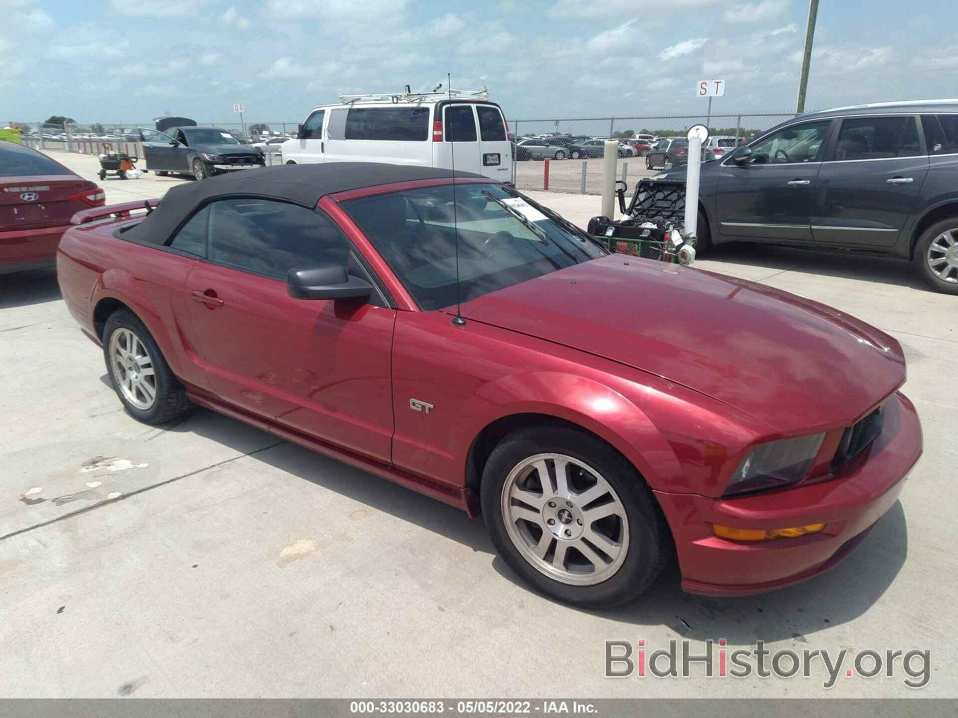 Photo 1ZVHT85H865133976 - FORD MUSTANG 2006
