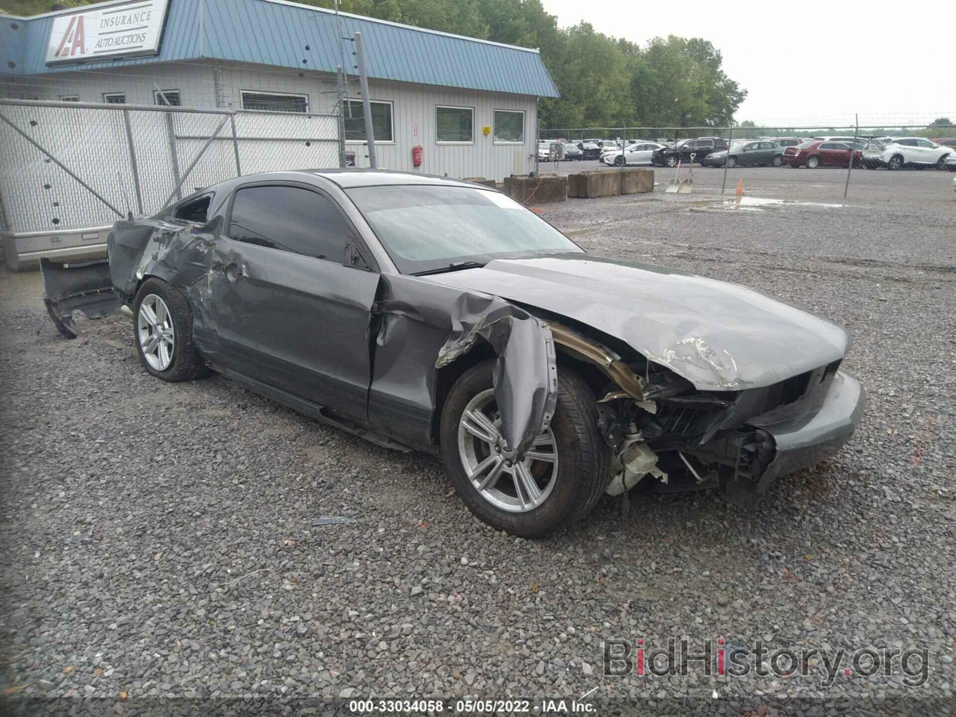 Photo 1ZVBP8AN9A5115372 - FORD MUSTANG 2010