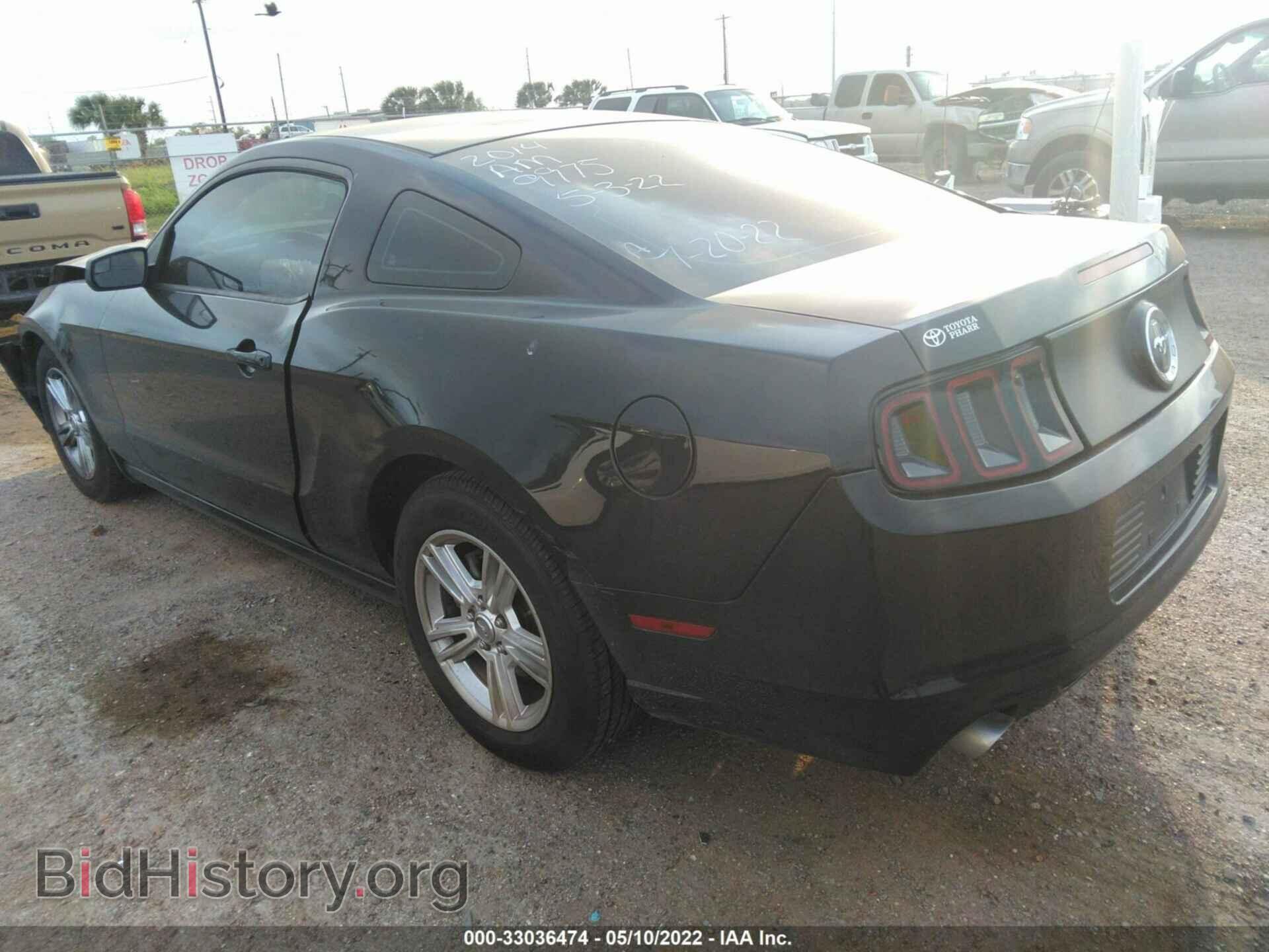 2014 FORD MUSTANG - VIN: 1ZVBP8AM9E5209975 - Фото 3