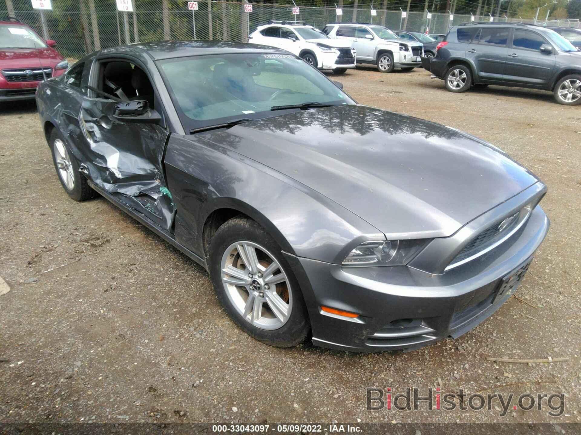 Photo 1ZVBP8AM9E5328836 - FORD MUSTANG 2014