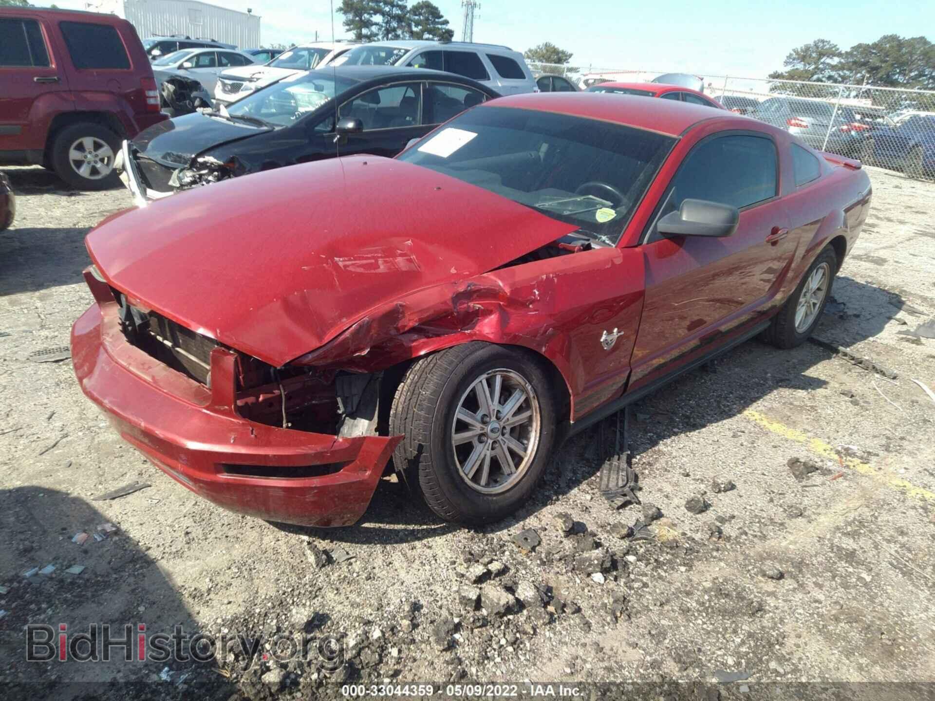 2009 FORD MUSTANG - VIN: 1ZVHT80N695104607 - Фото 2