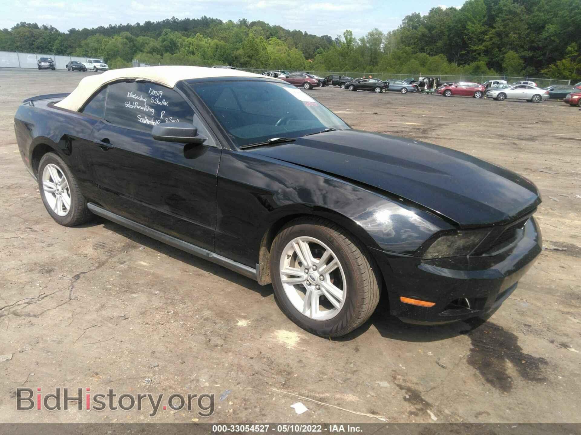 Фотография 1ZVBP8EN9A5170379 - FORD MUSTANG 2010