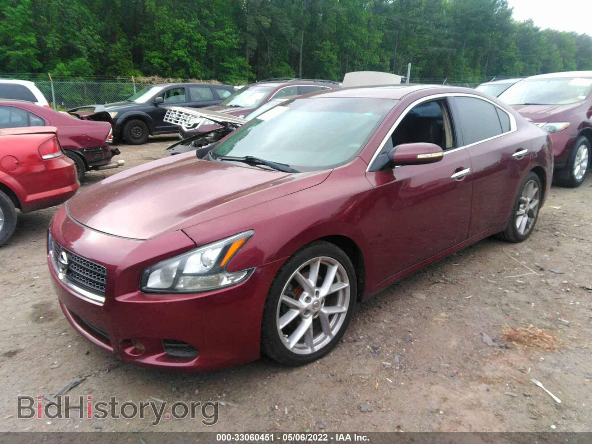2011 NISSAN MAXIMA - VIN: 1N4AA5AP3BC843059 - Фото 2