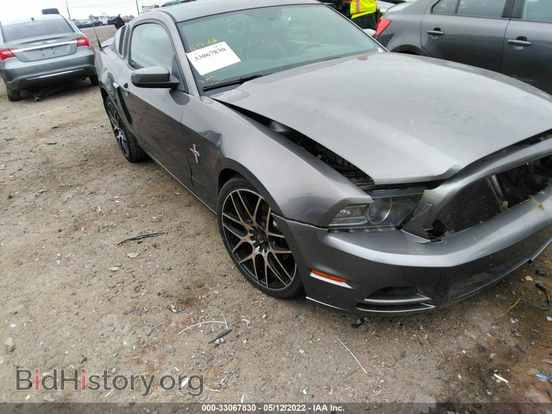 Фотография 1ZVBP8AM4E5244701 - FORD MUSTANG 2014