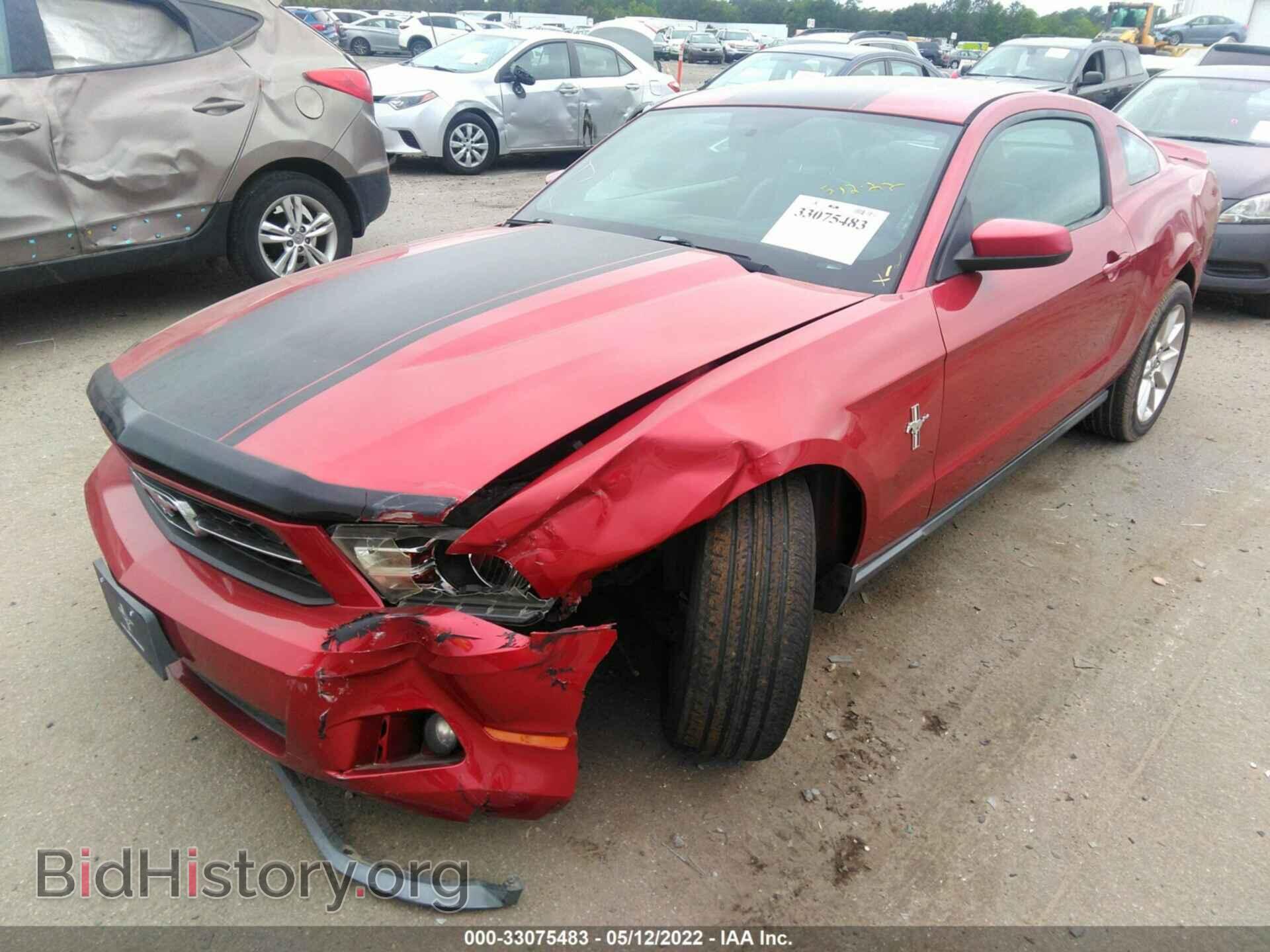 2010 FORD MUSTANG - VIN: 1ZVBP8AN3A5143989 - Фото 2