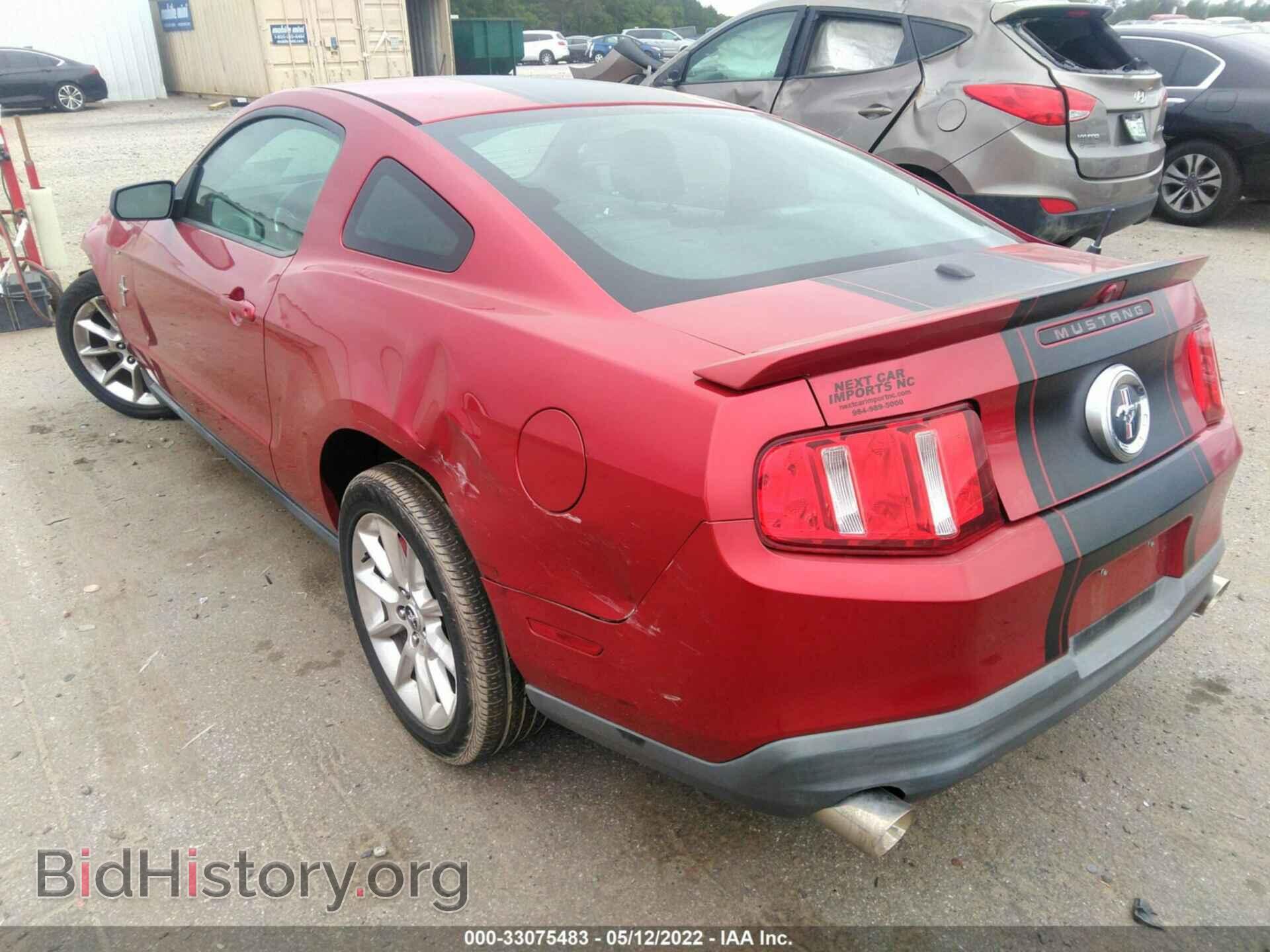 2010 FORD MUSTANG - VIN: 1ZVBP8AN3A5143989 - Фото 3