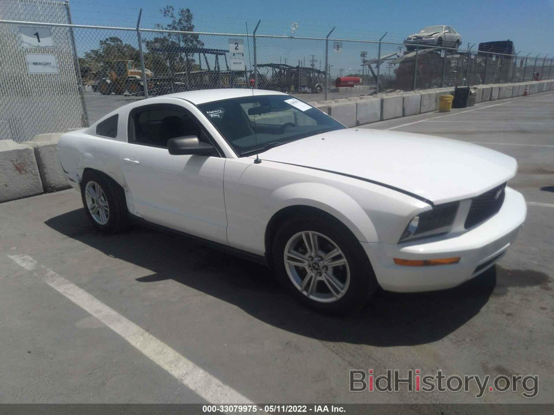 Photo 1ZVHT80N985194110 - FORD MUSTANG 2008