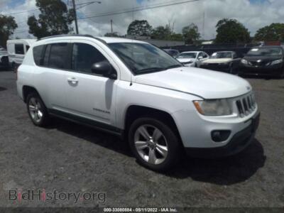 2011 Jeep COMPASS, white — VIN 1J4NF1FB0BD213099, IAAI