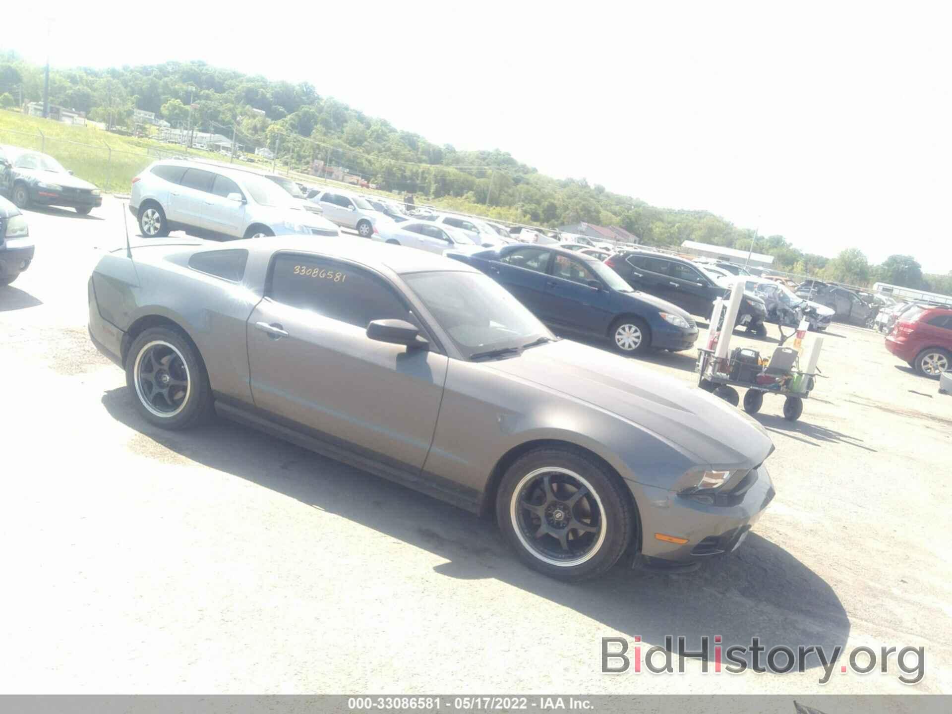 Photo 1ZVBP8AN8A5179807 - FORD MUSTANG 2010