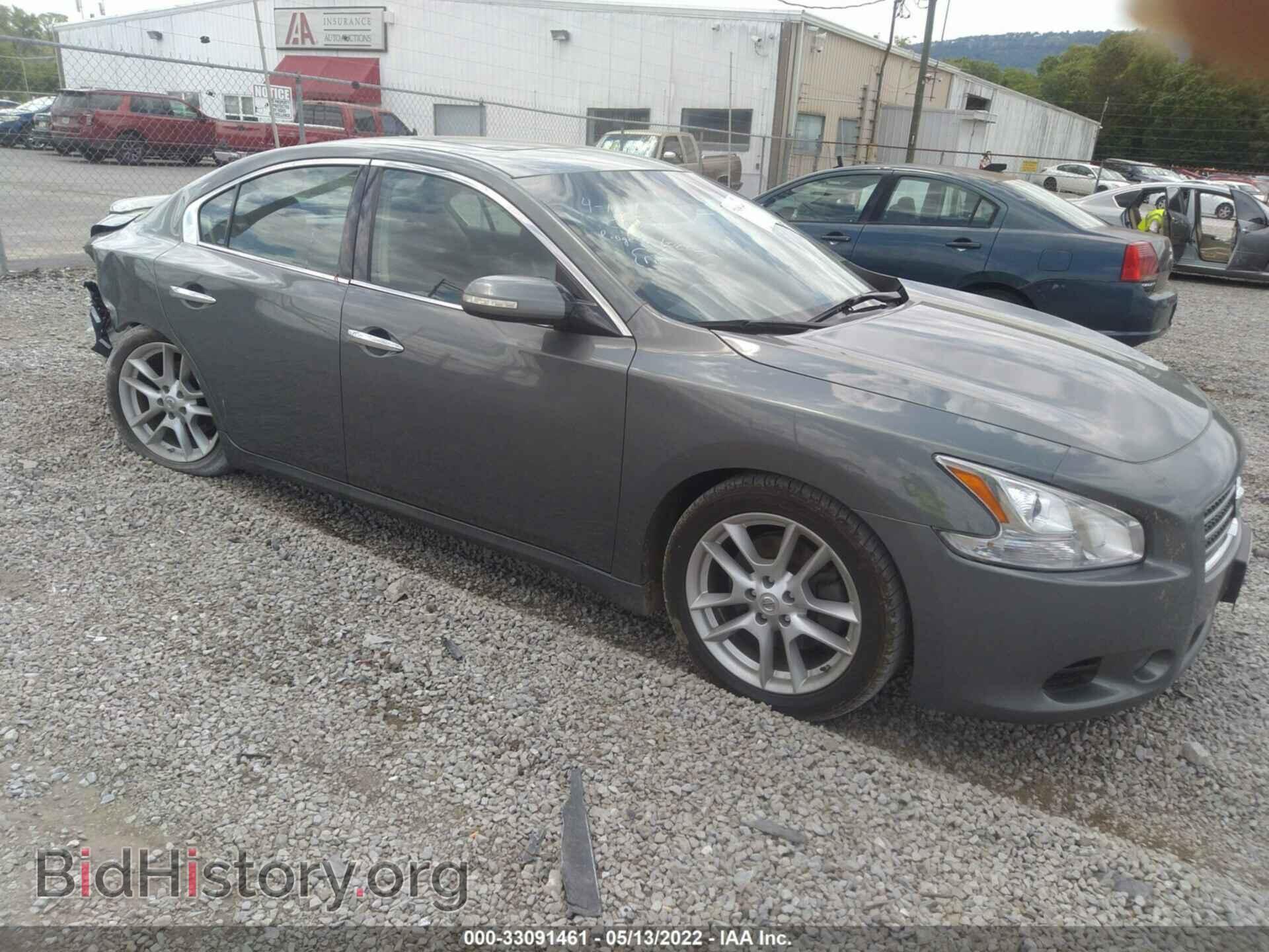 Фотография 1N4AA5AP1BC839687 - NISSAN MAXIMA 2011
