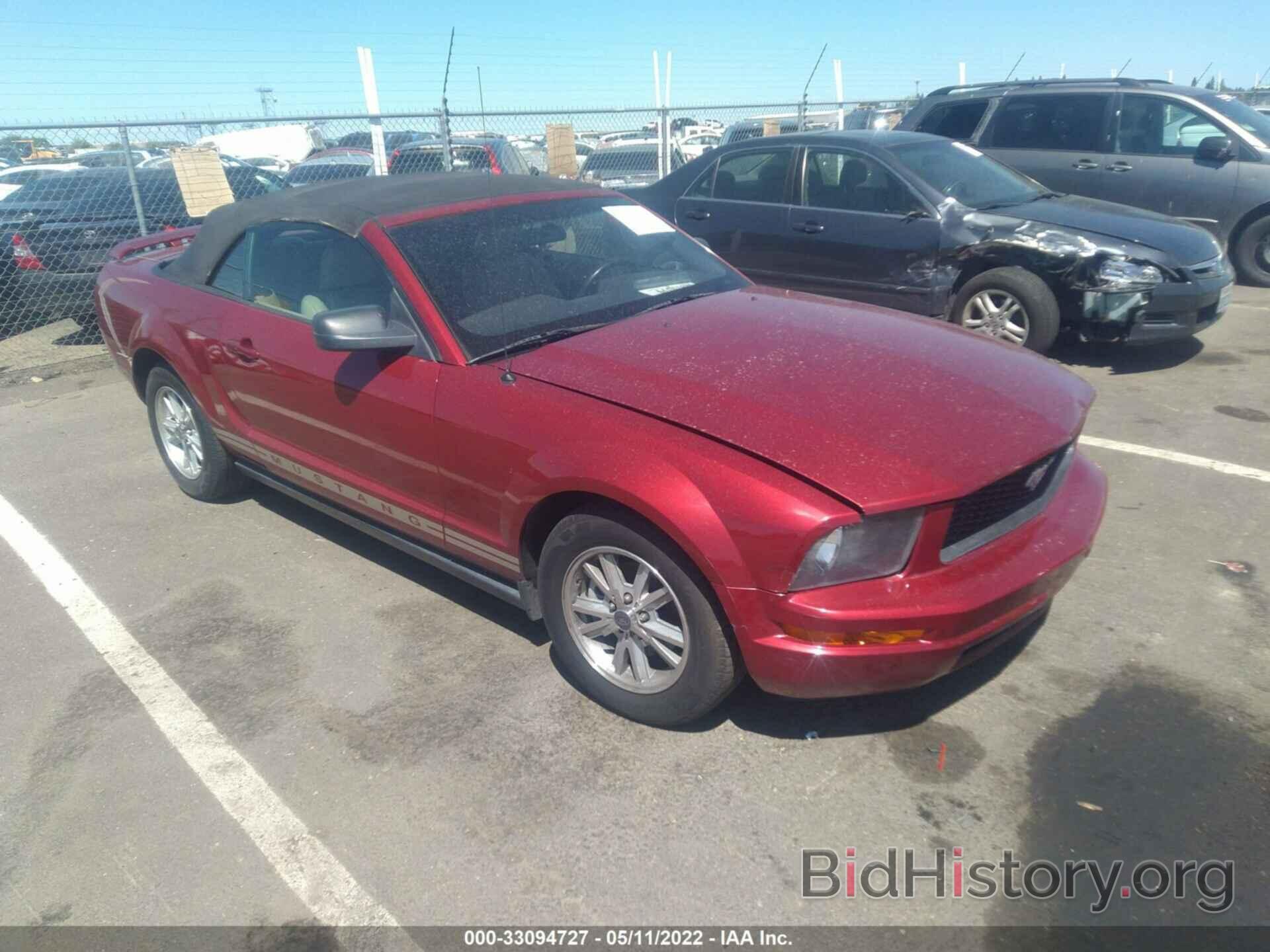 Photo 1ZVFT84N565113828 - FORD MUSTANG 2006
