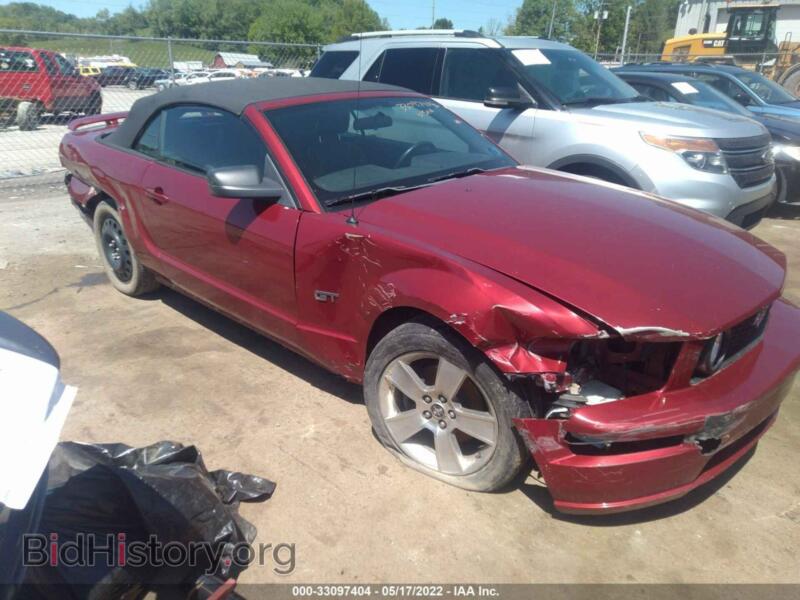 2006 Ford MUSTANG (VIN 1ZVFT85H265242876) — фото 6 из 11