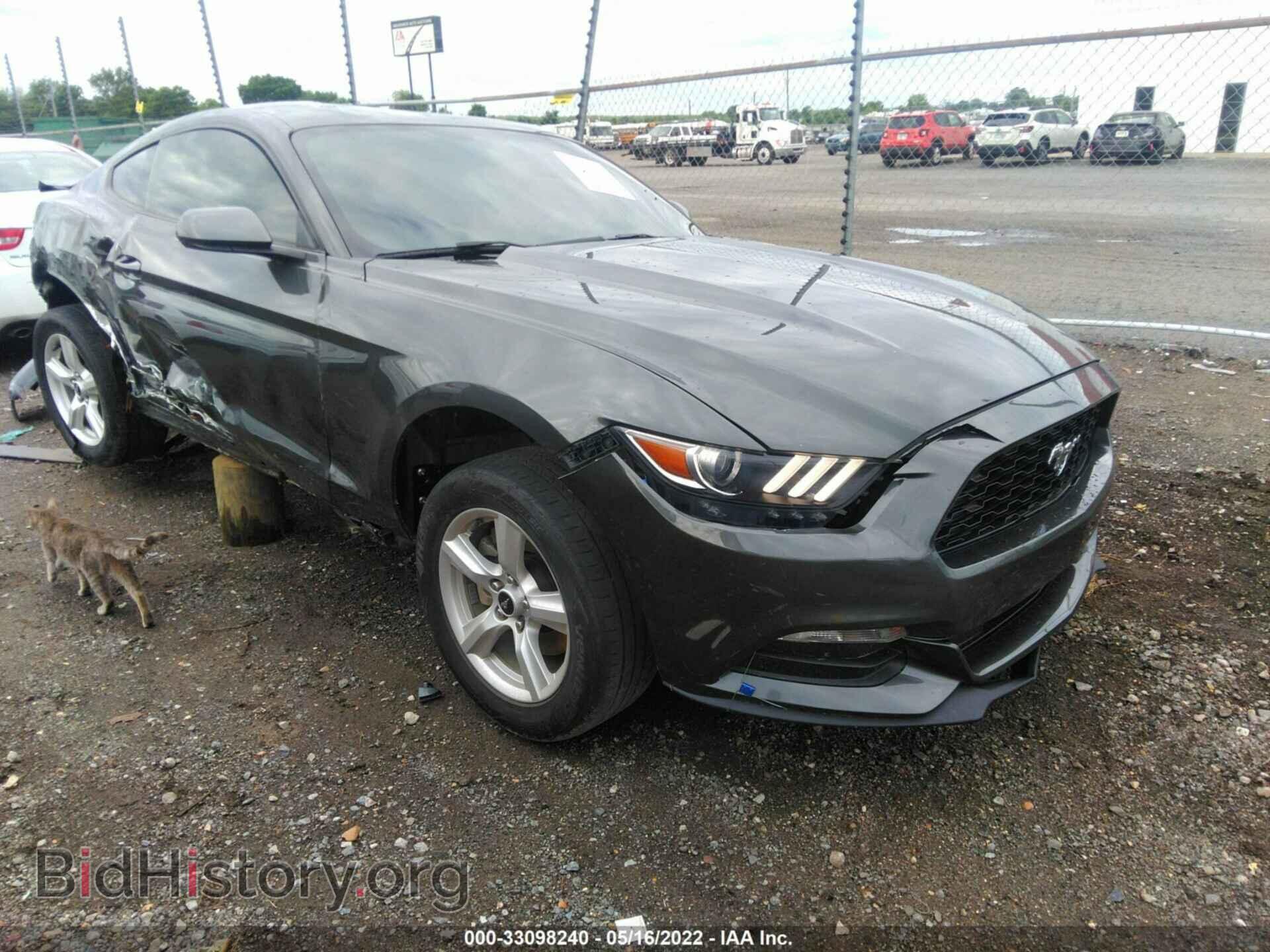 Photo 1FA6P8AM9H5309086 - FORD MUSTANG 2017