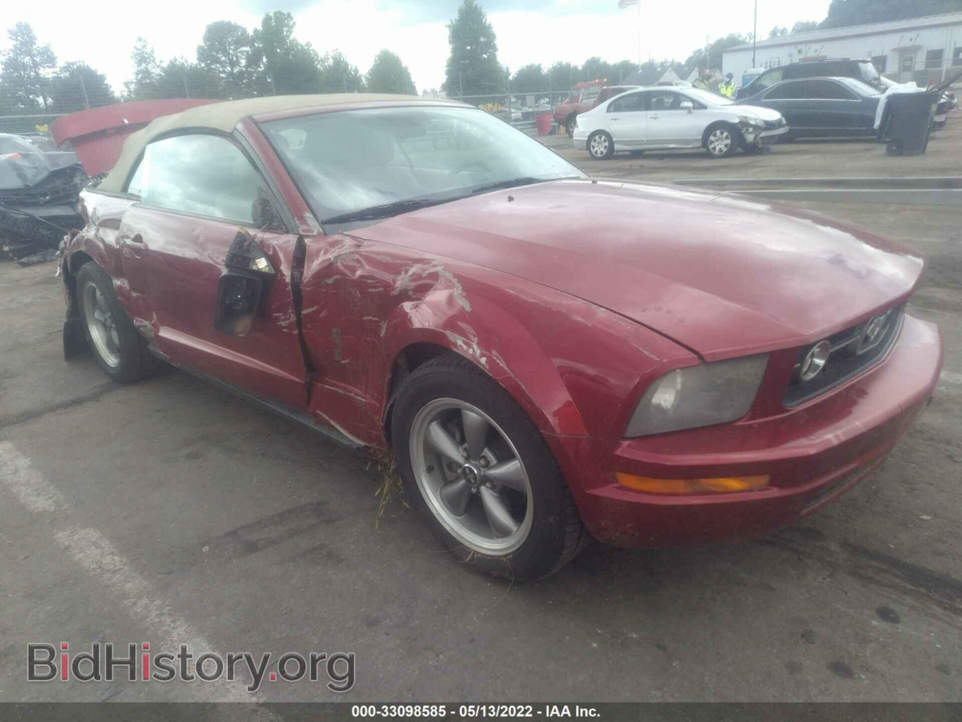 Photo 1ZVFT84N665103101 - FORD MUSTANG 2006