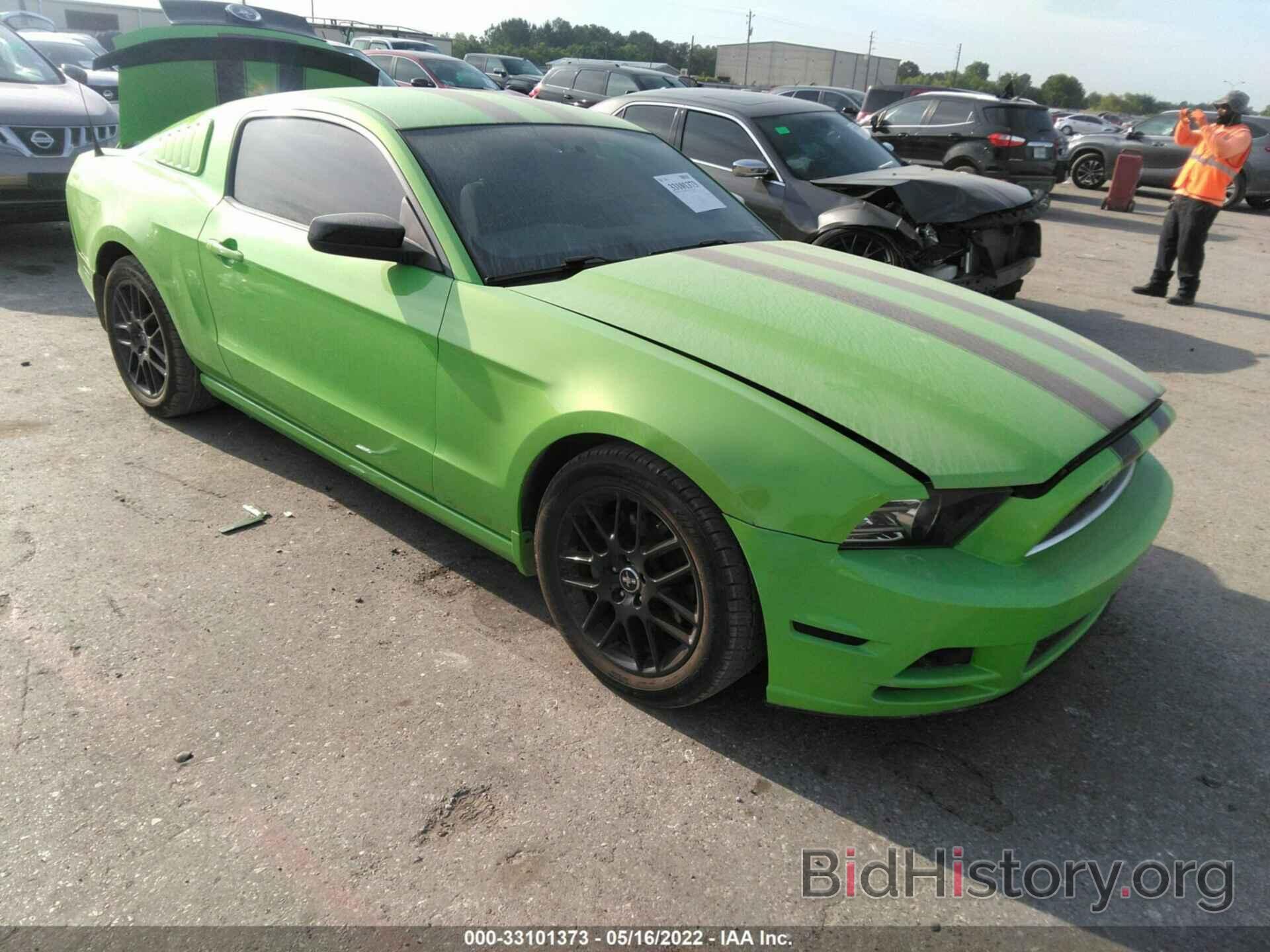 Photo 1ZVBP8AM5E5254461 - FORD MUSTANG 2014