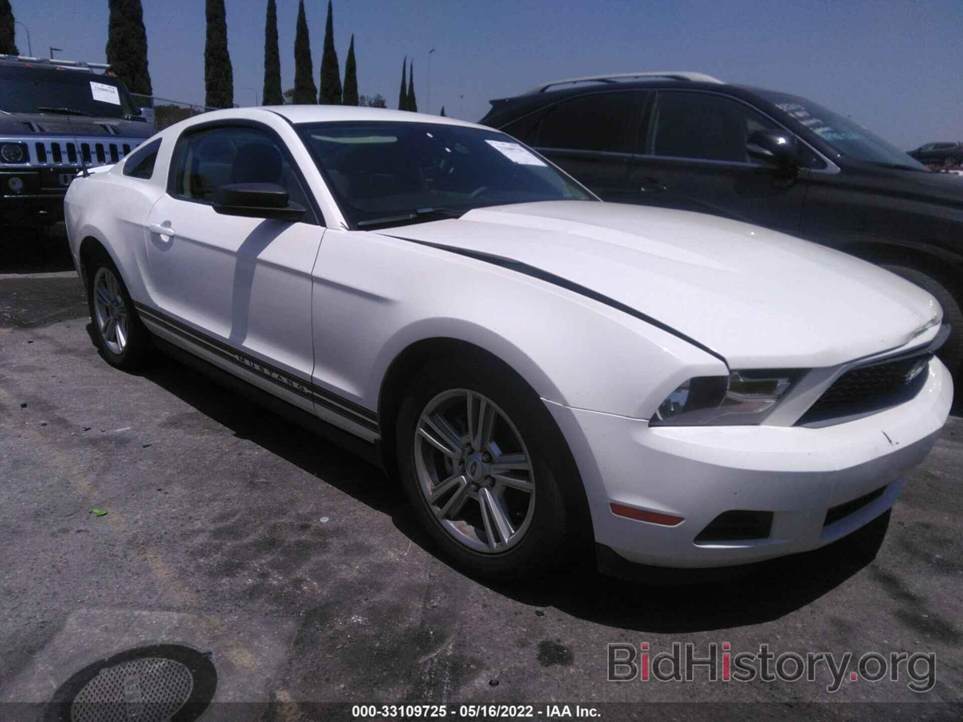 Photo 1ZVBP8AN6A5161984 - FORD MUSTANG 2010