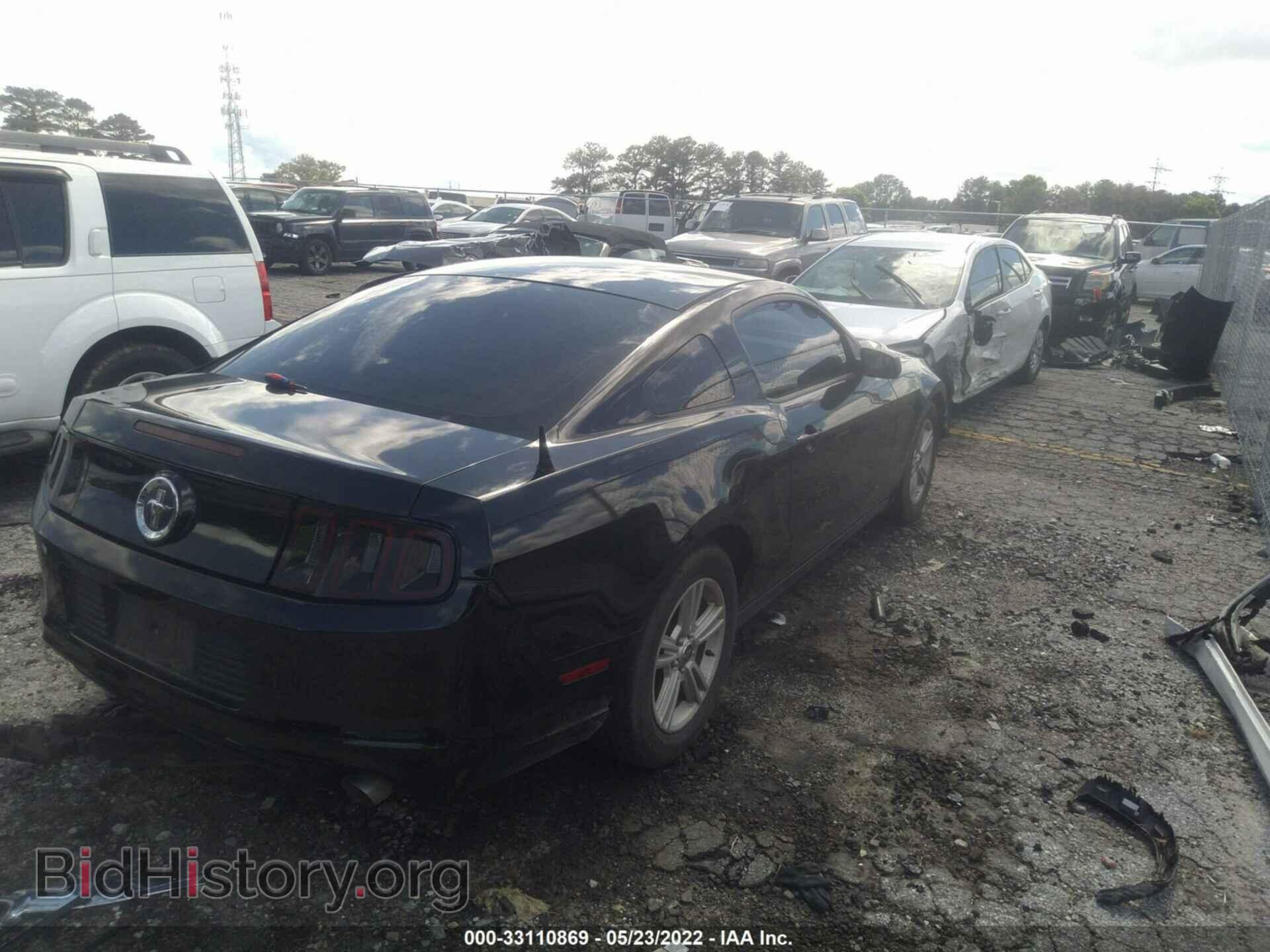 2013 FORD MUSTANG - VIN: 1ZVBP8AM2D5241939 - Фото 4