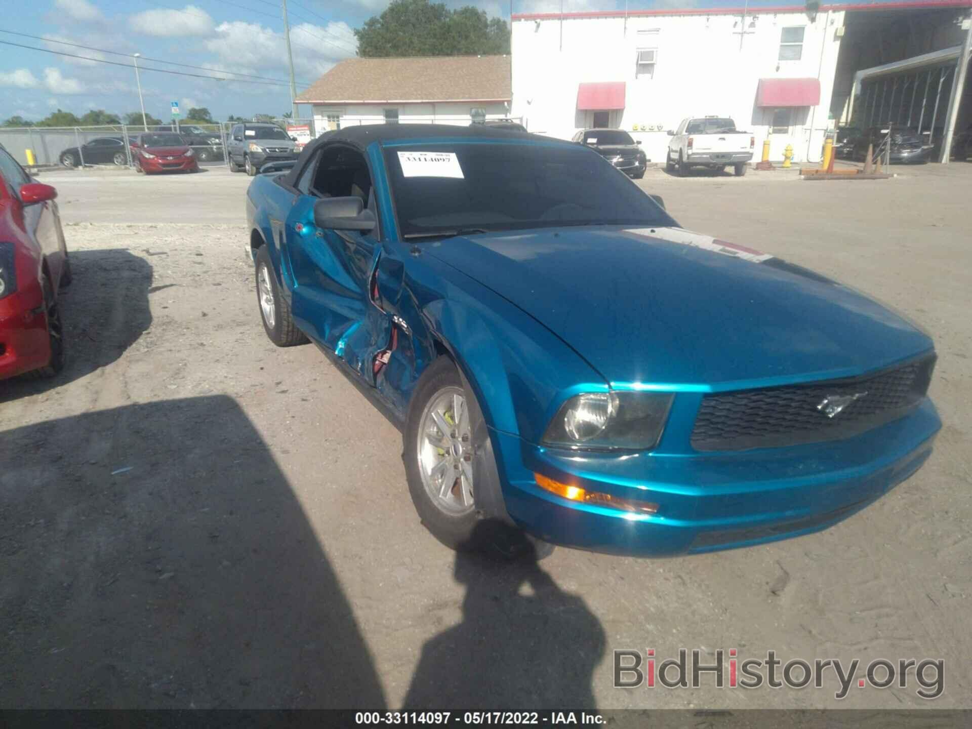 Photo 1ZVHT84N795138288 - FORD MUSTANG 2009
