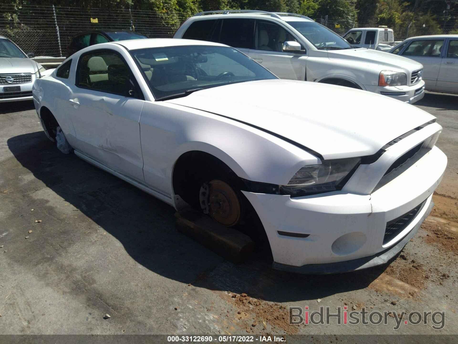 Photo 1ZVBP8AM9D5254168 - FORD MUSTANG 2013